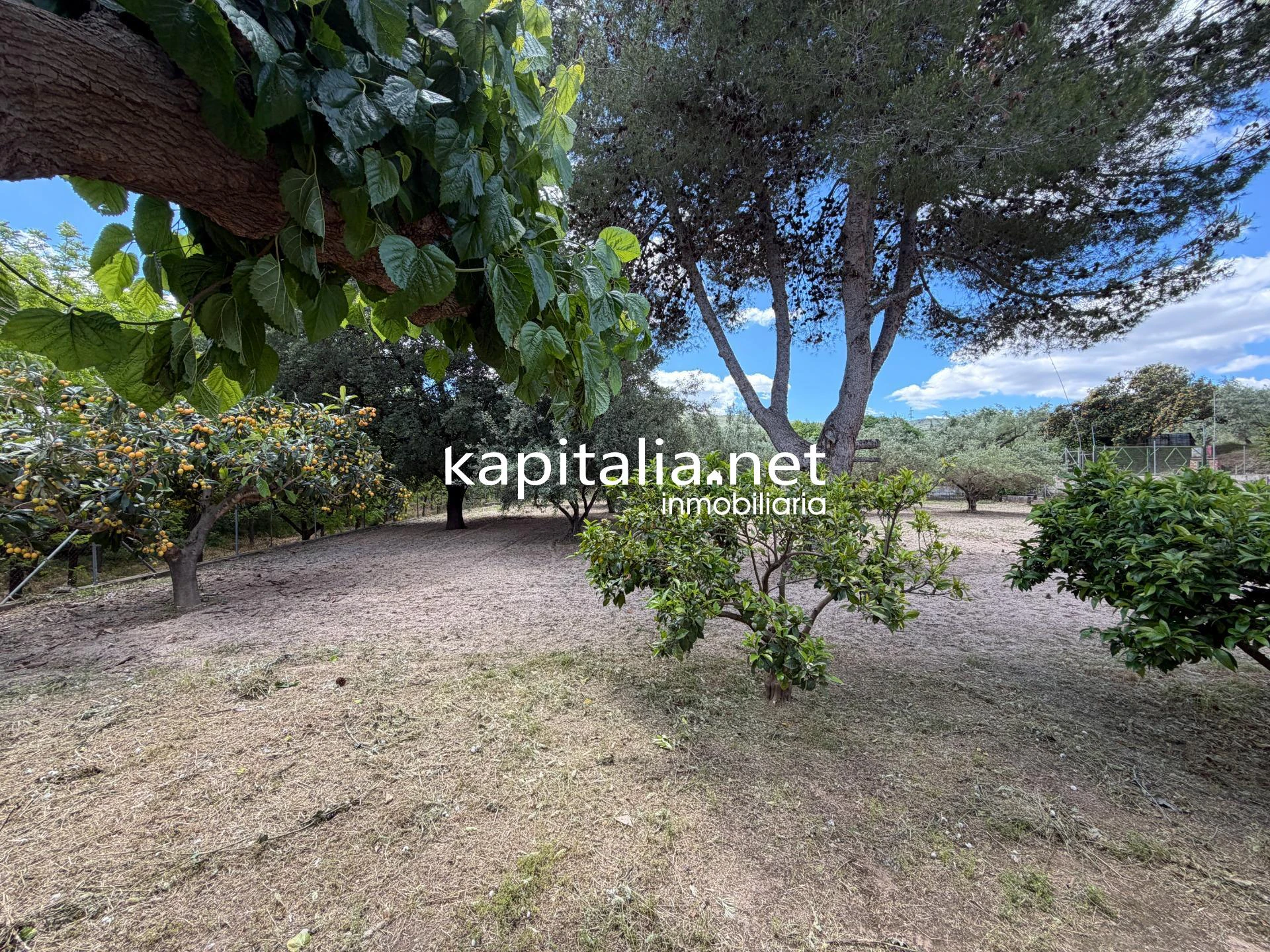 CHALET VENTA EN EXCLUSIVA EN KAPITALIA Y MUY CERCA DE LA CIUDAD.