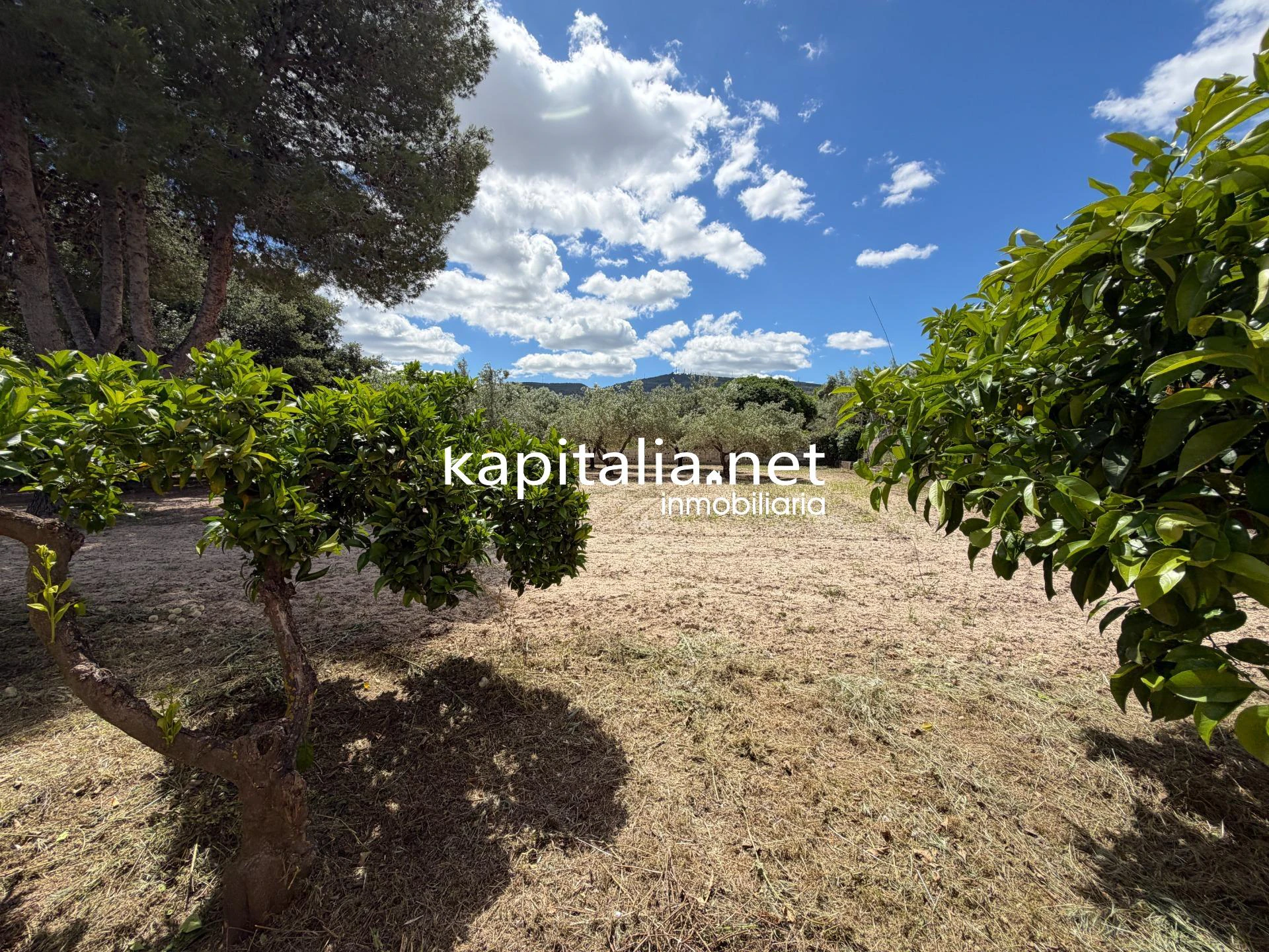 CHALET VENTA EN EXCLUSIVA EN KAPITALIA Y MUY CERCA DE LA CIUDAD.