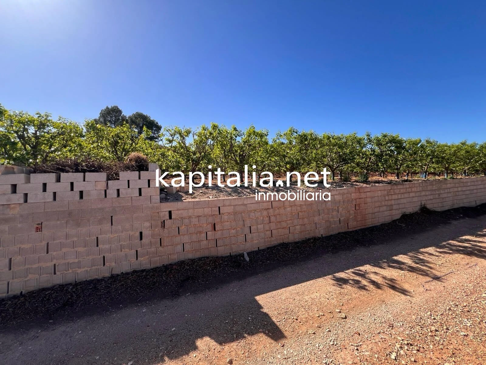 TERRENO AGRICOLA A LA VENTA EN SELLENT