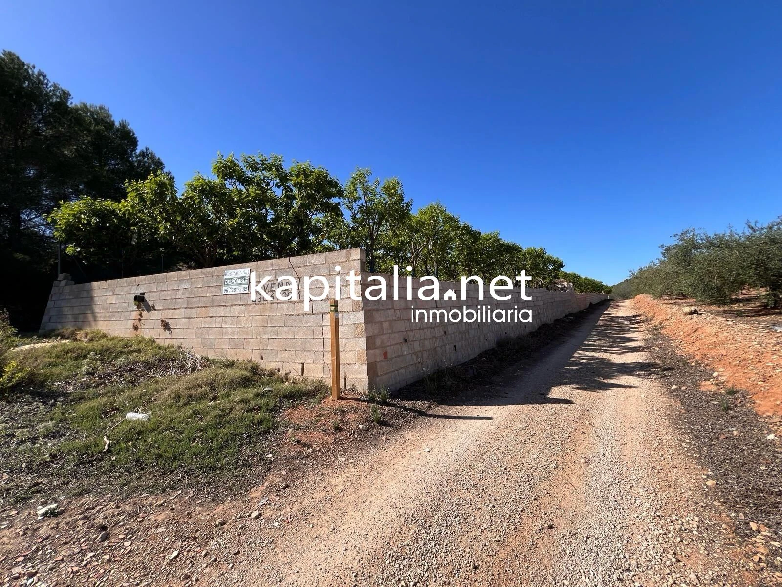 TERRENO AGRICOLA A LA VENTA EN SELLENT