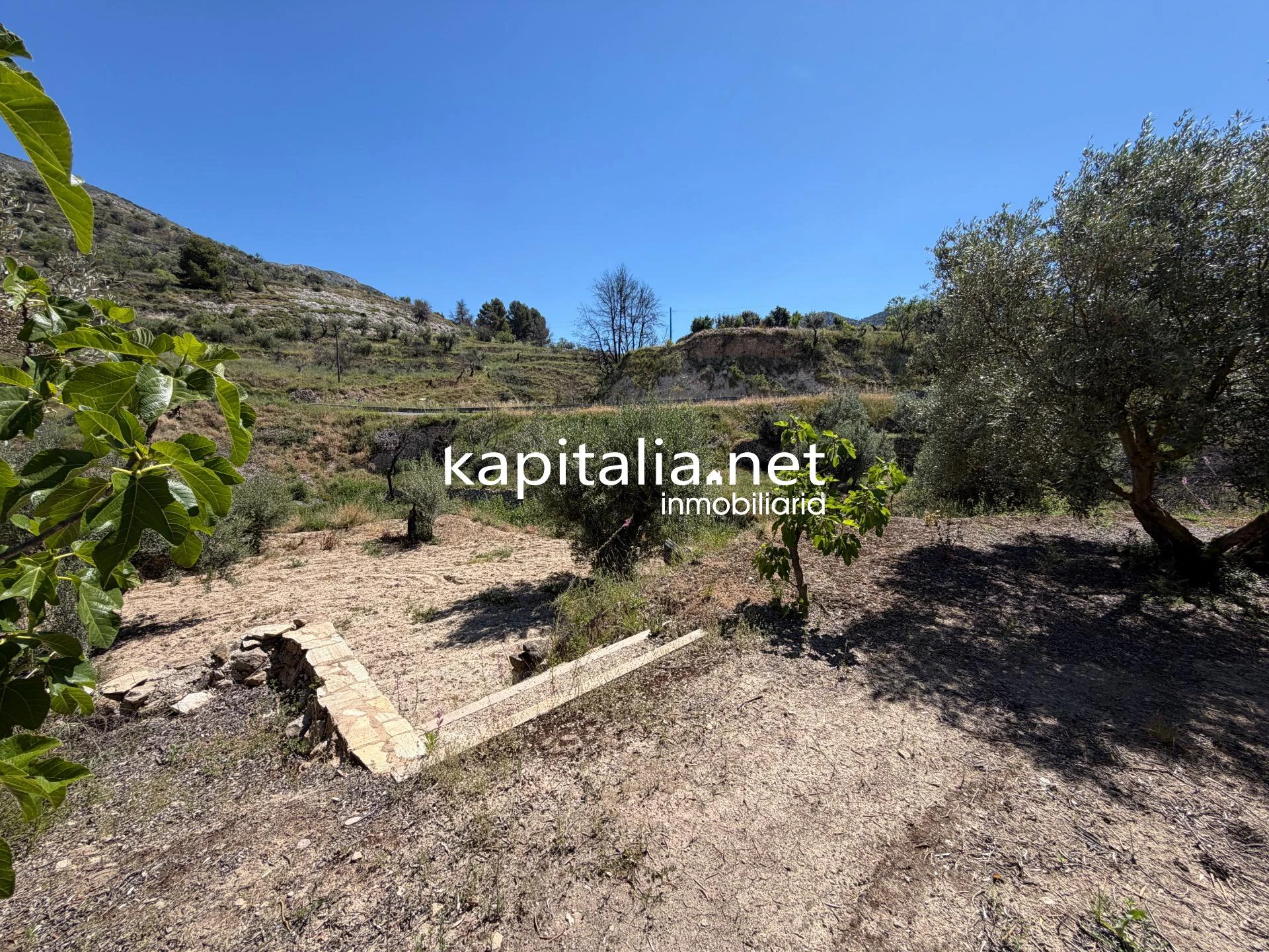 10420 - Propriété à Vente à Alcoleja