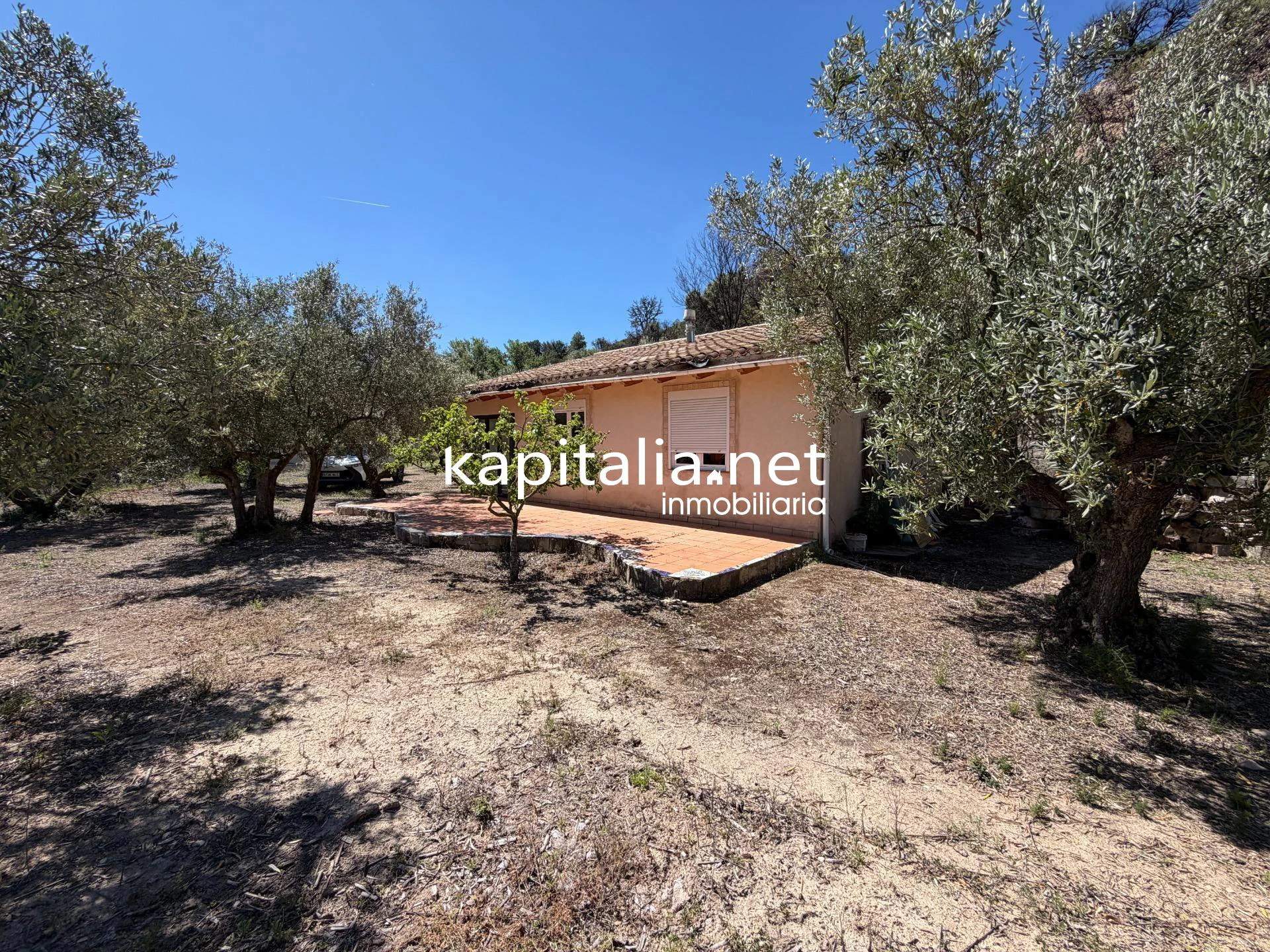10420 - Propriété à Vente à Alcoleja