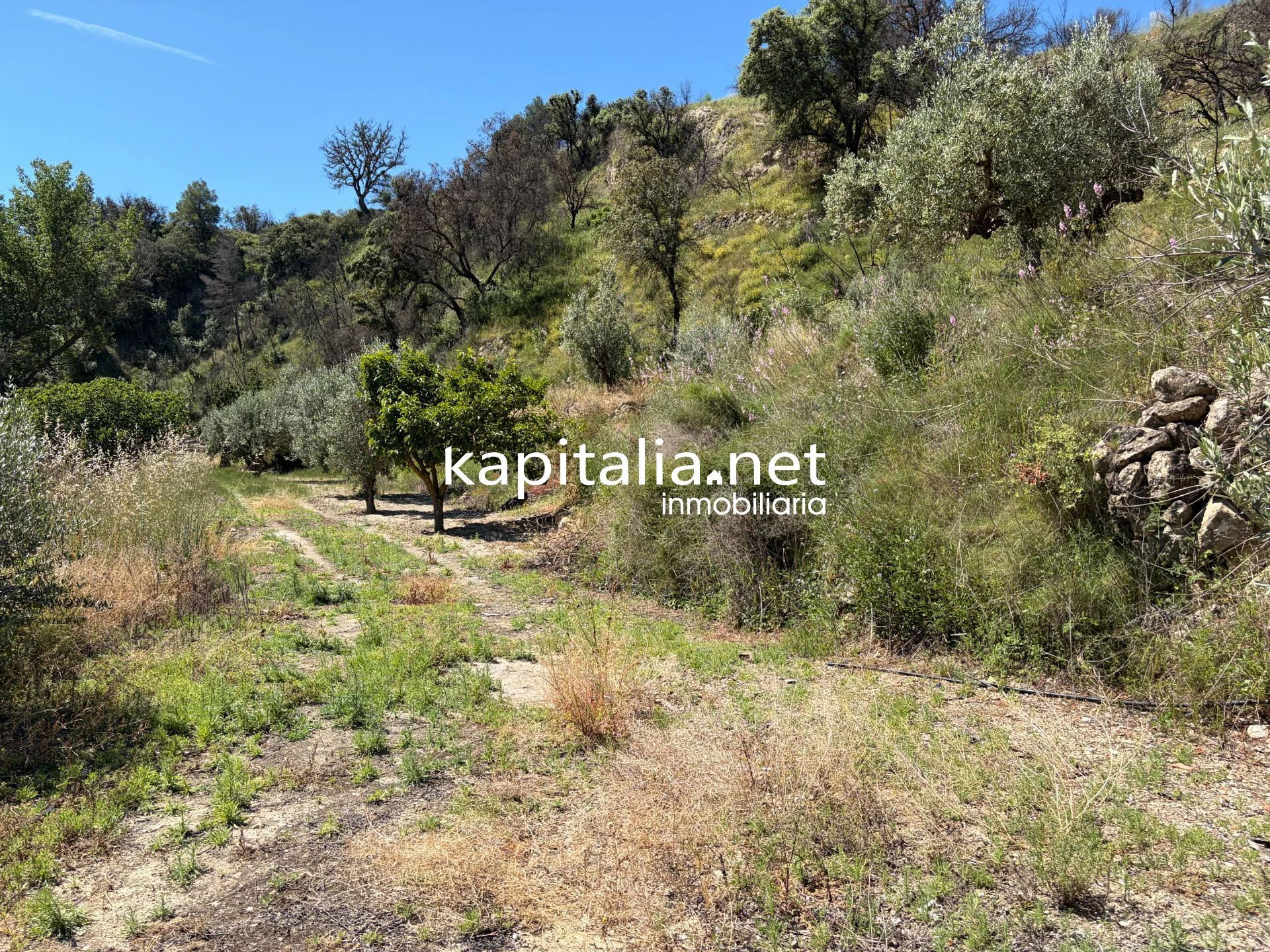 10420 - Propriété à Vente à Alcoleja