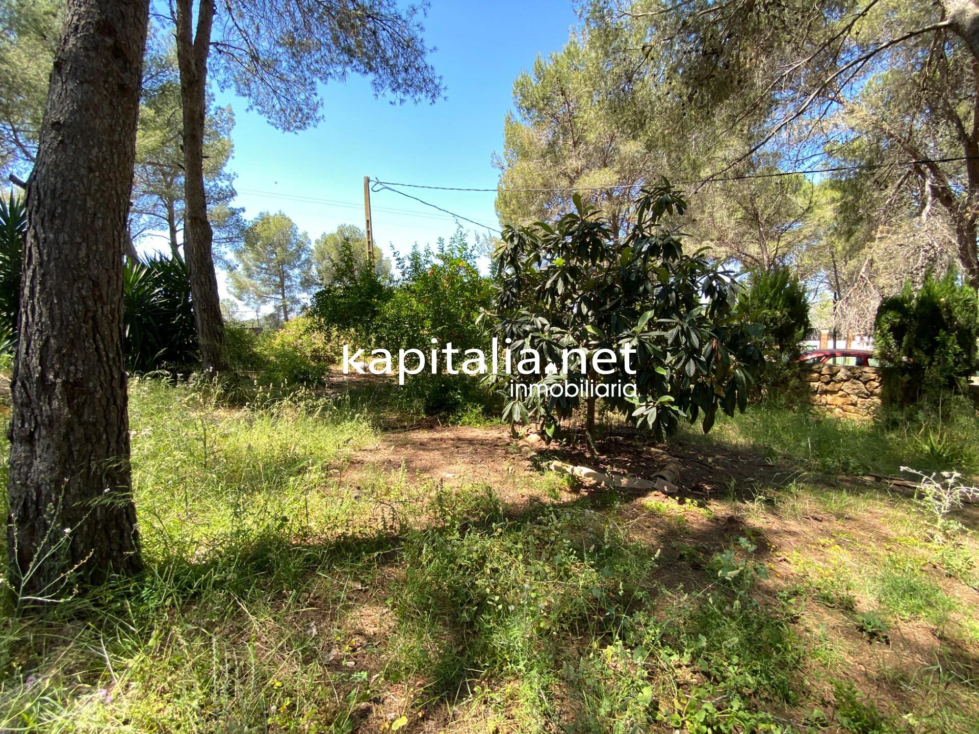 Fantástico chalet en VENTA en Alberic