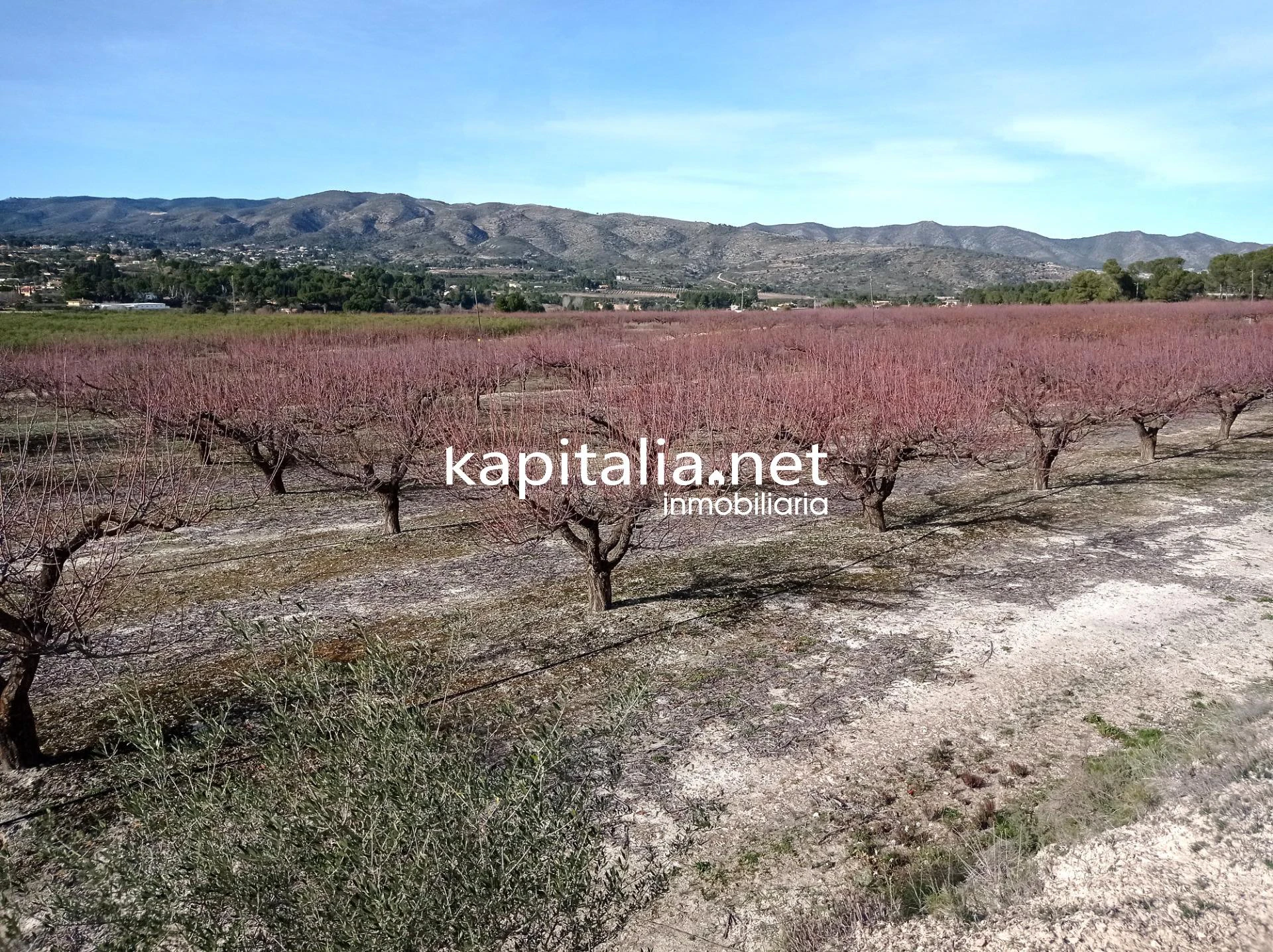 09636 - Propriété à Vente à Ontinyent