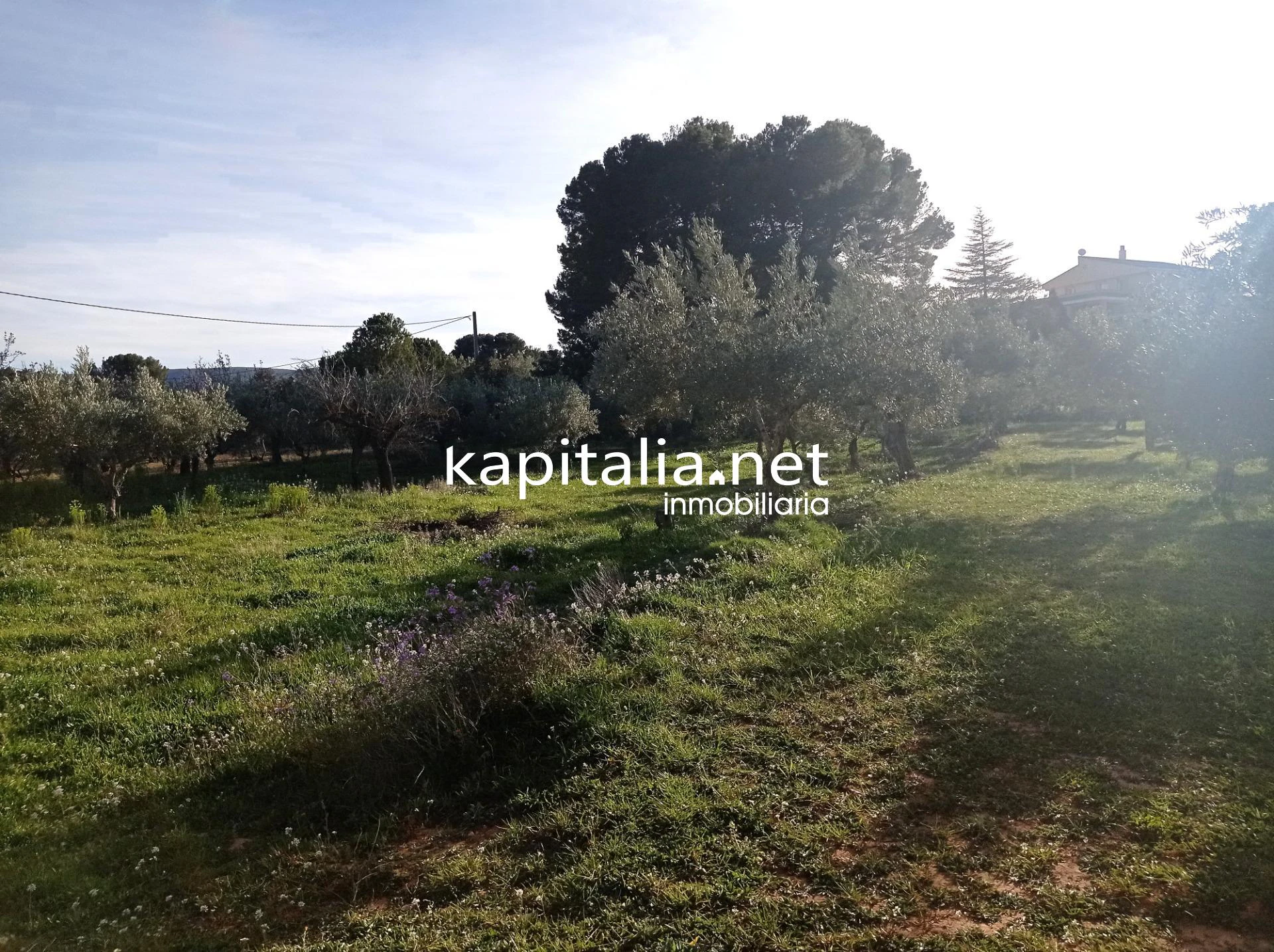 09783 - Propriété à Vente à Ontinyent