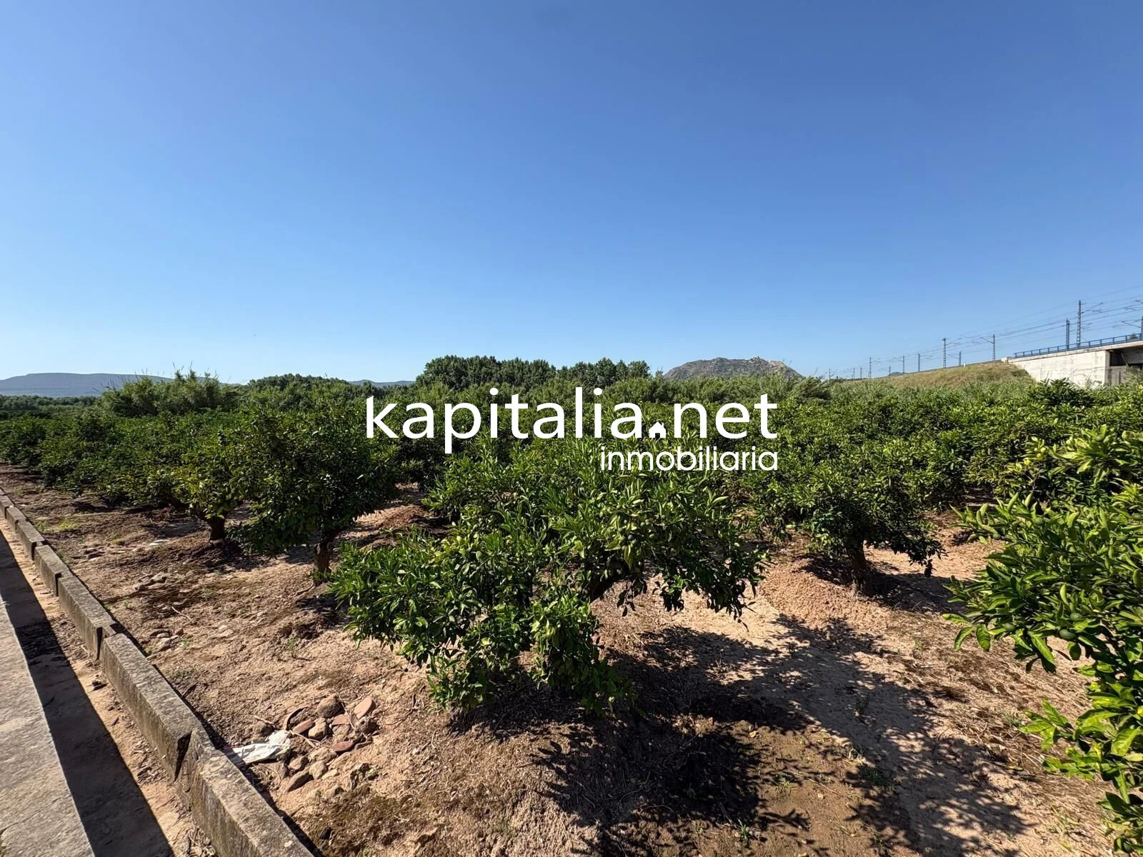 FINCA DE NARANJOS A LA VENTA EN XATIVA