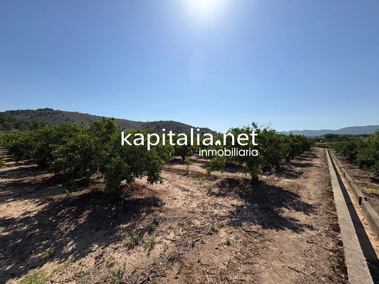 FINCA DE NARANJOS A LA VENTA EN XATIVA