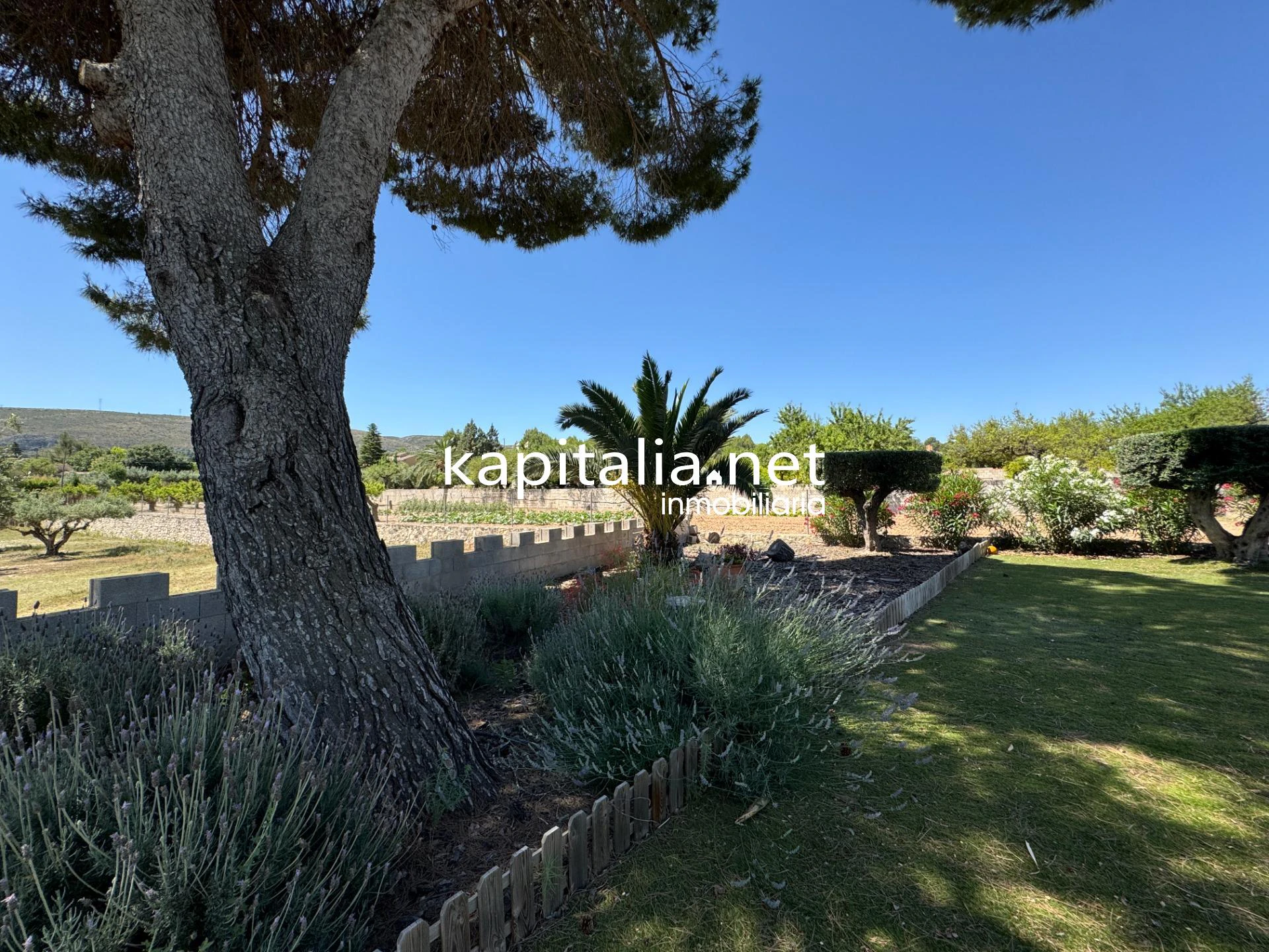 Apartamento en alquiler en Ontinyent