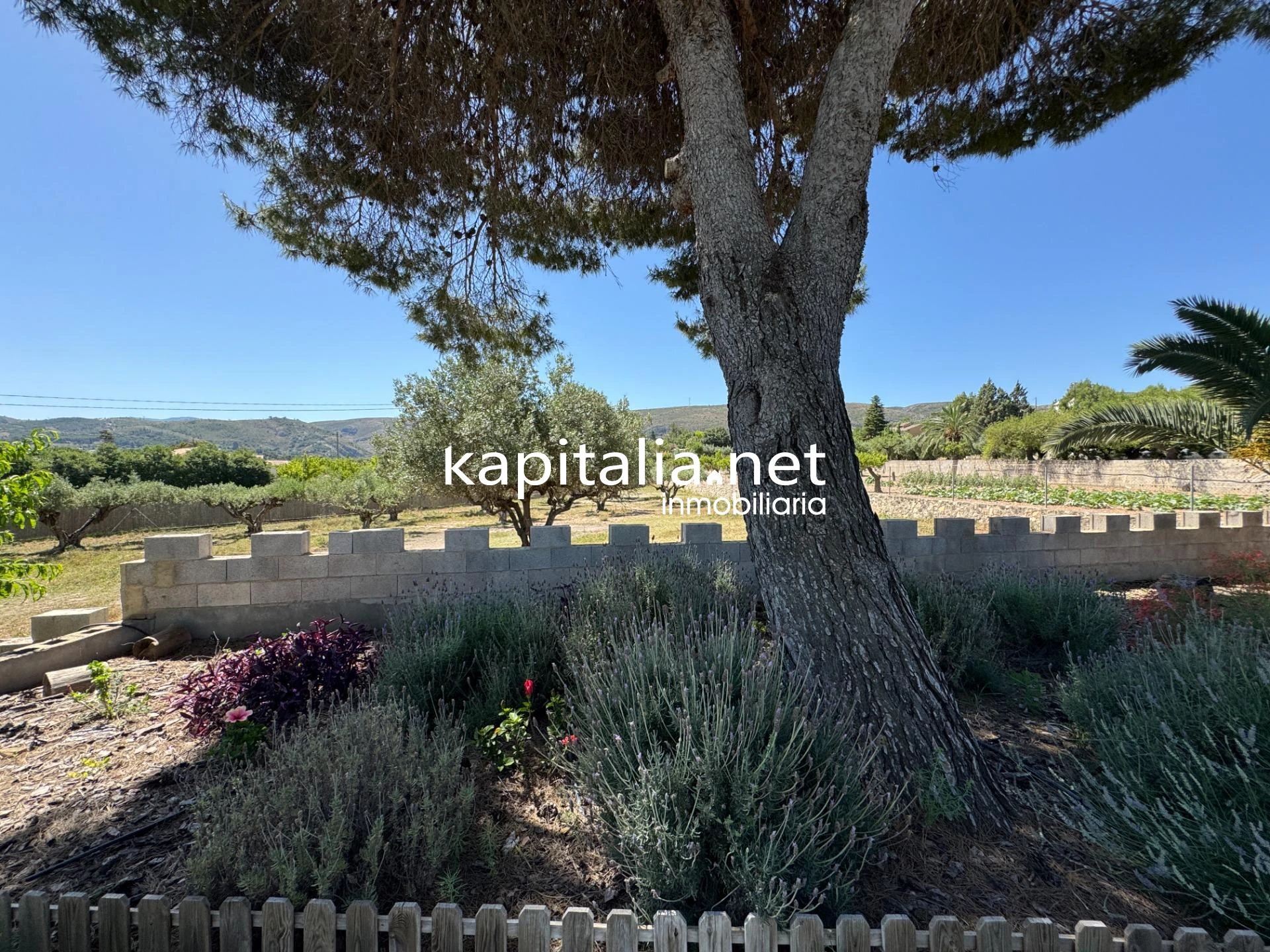 Apartamento en alquiler en Ontinyent