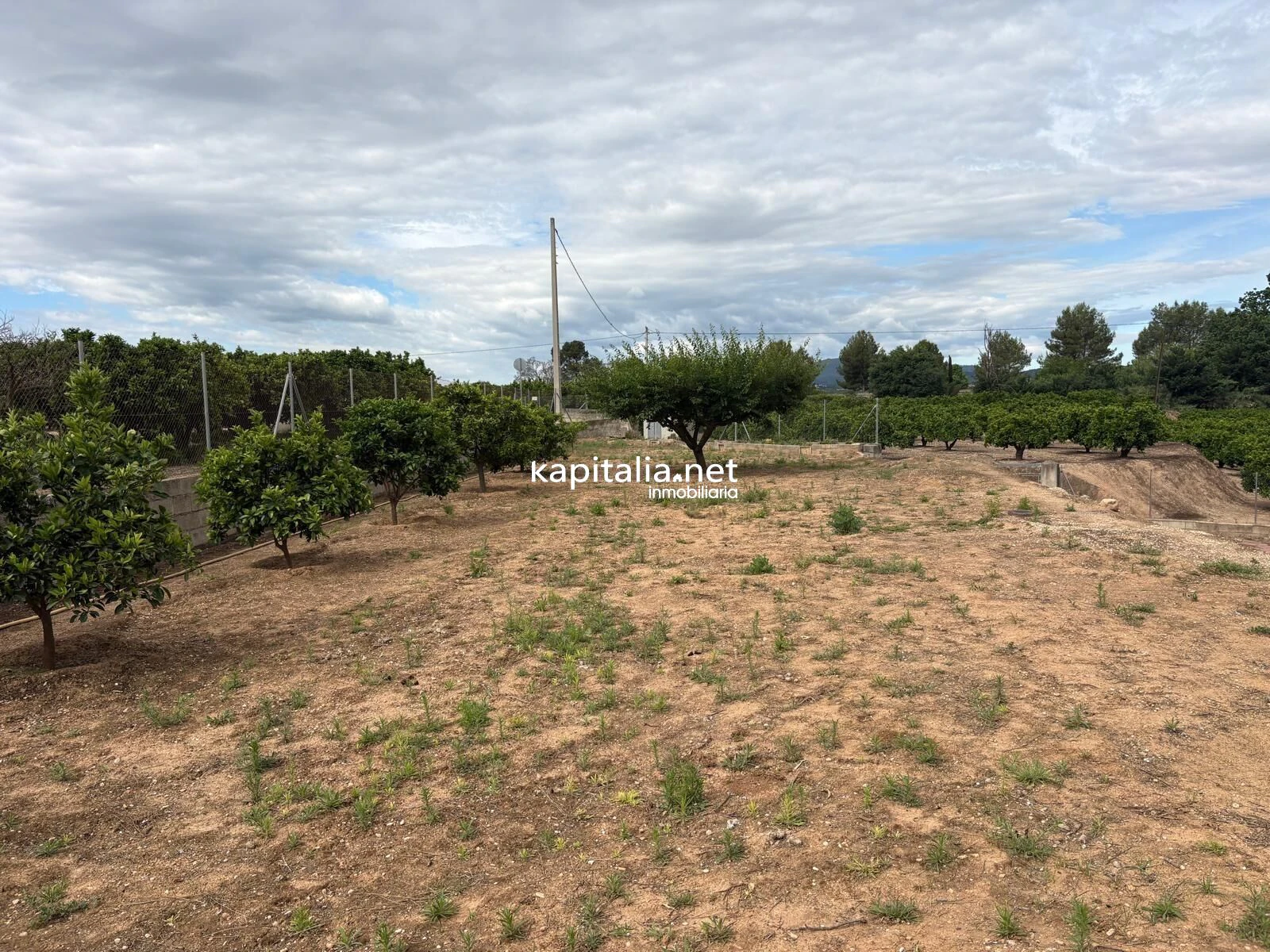 10471 - Villa zum Verkauf in Xativa