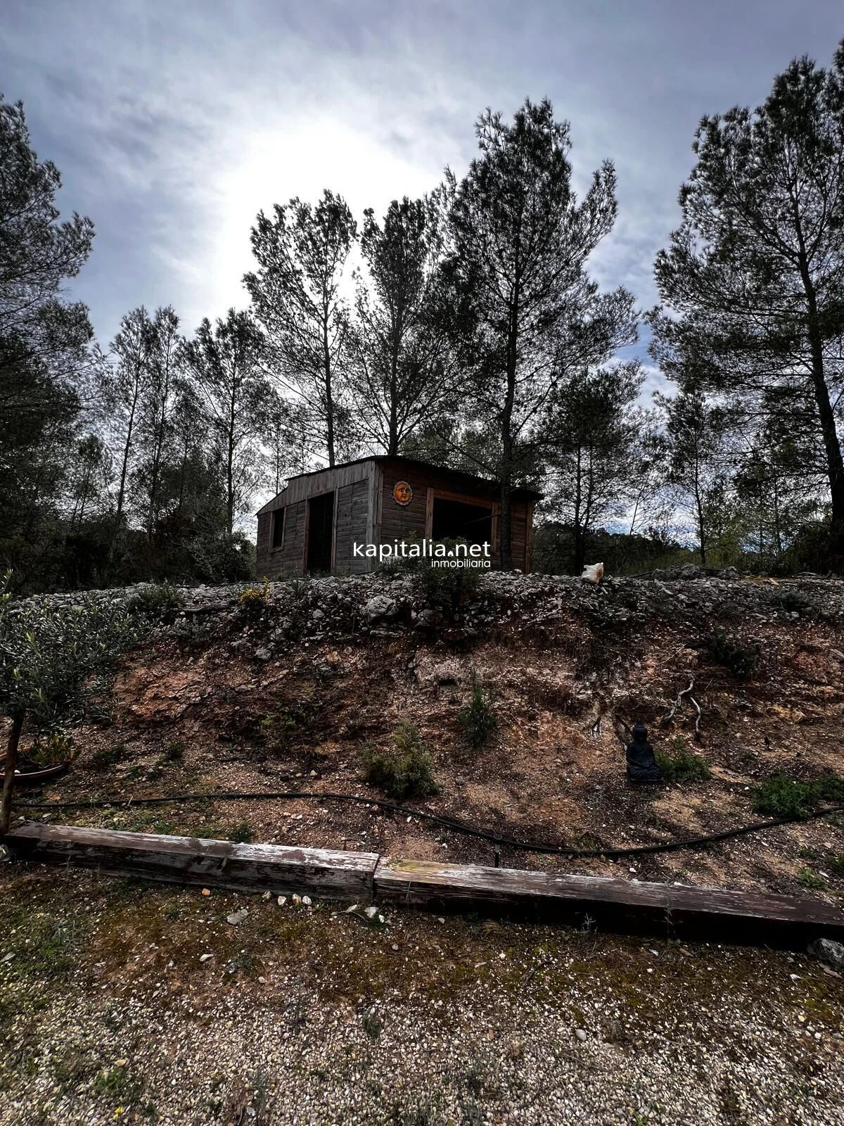 Terreno a la venta en Olleria