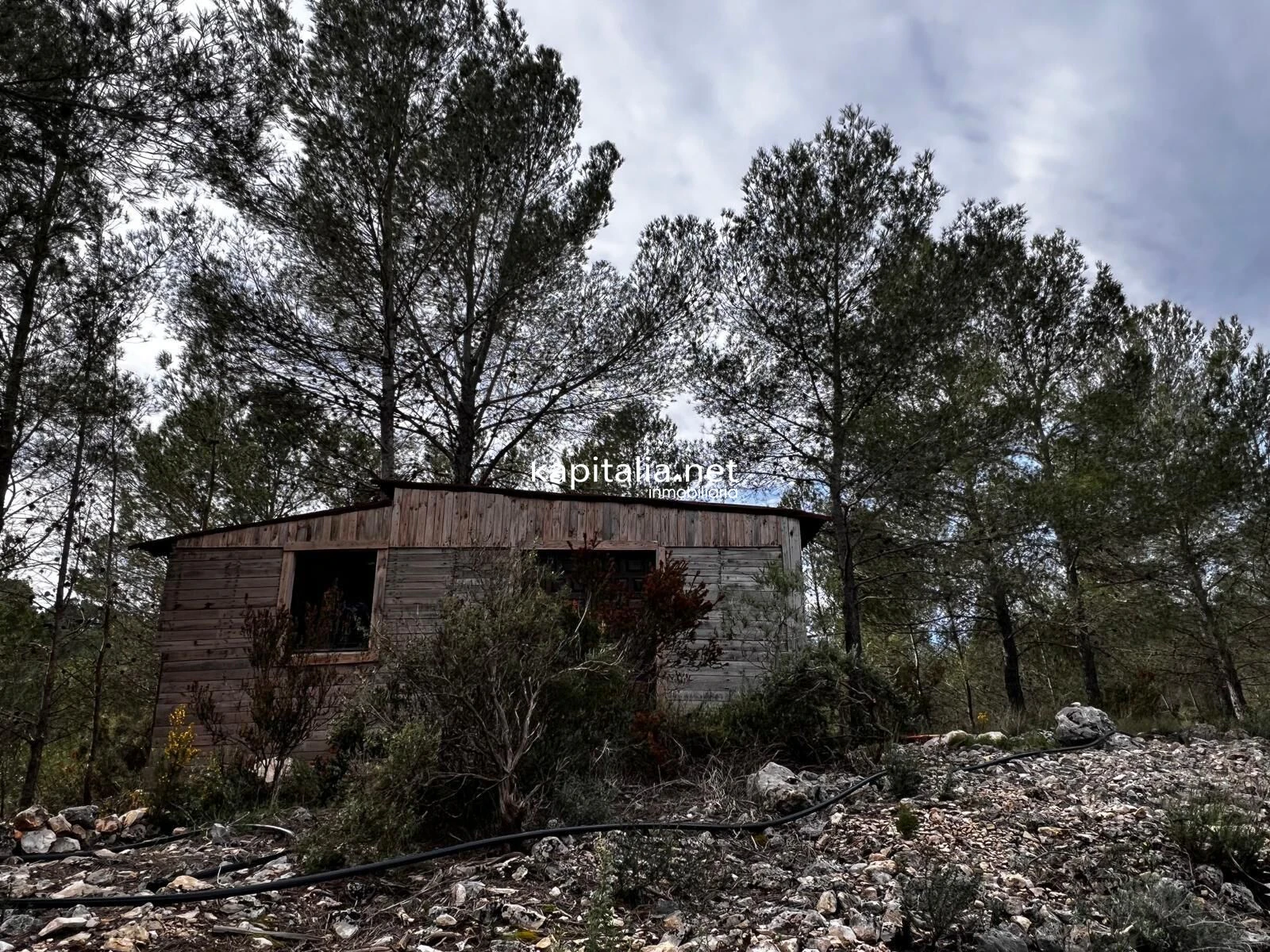 Terreno a la venta en Olleria
