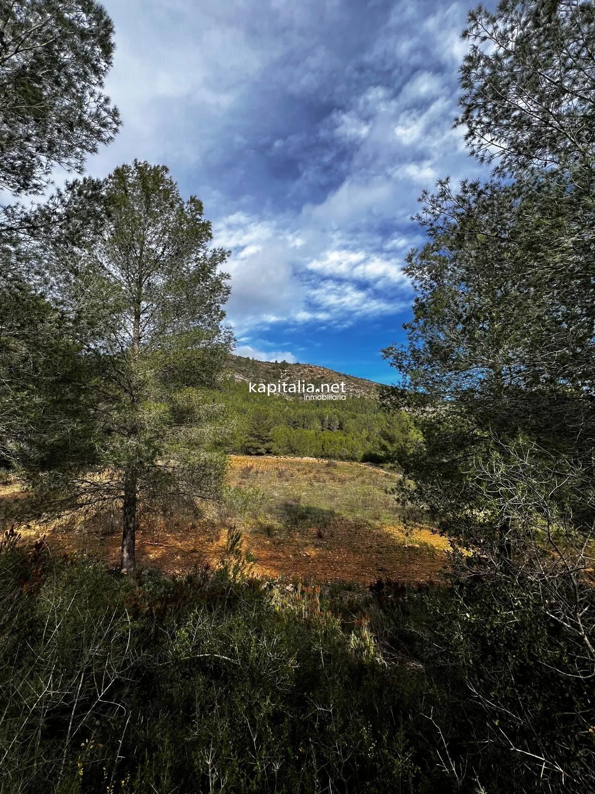Terreno a la venta en Olleria