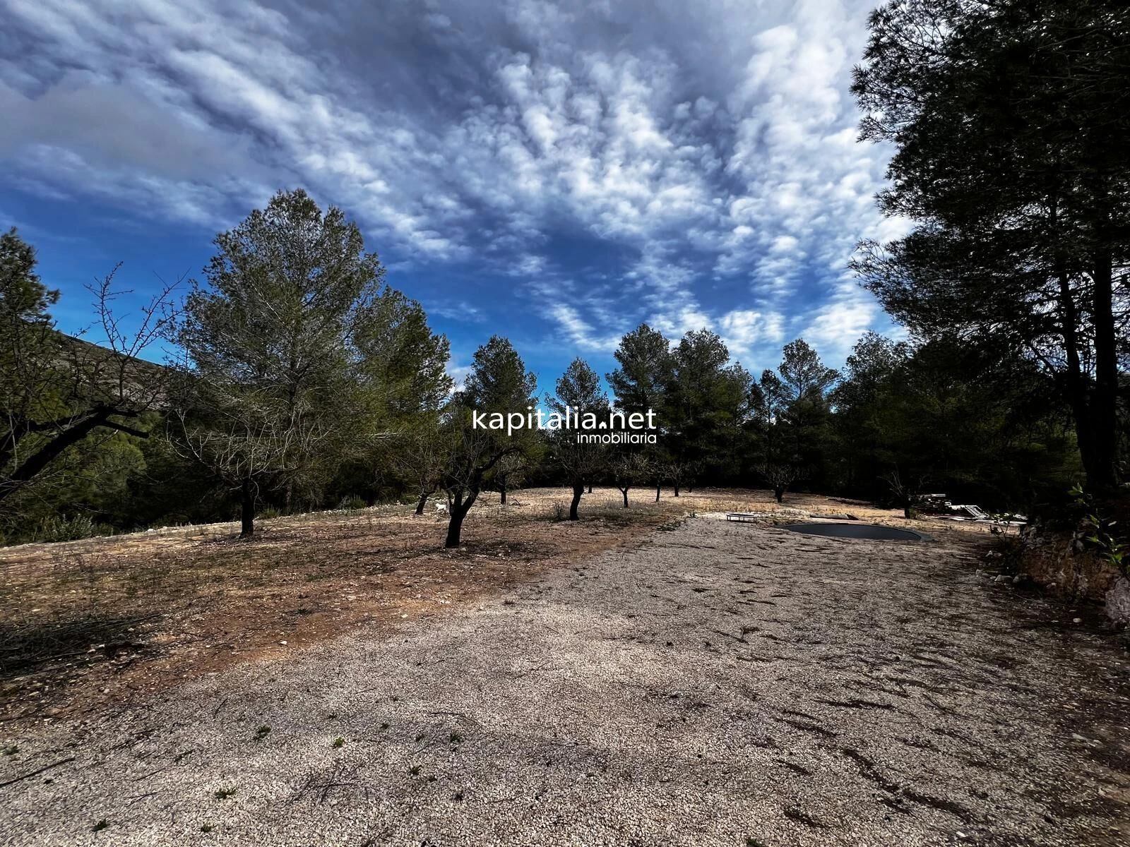 Terreno a la venta en Olleria