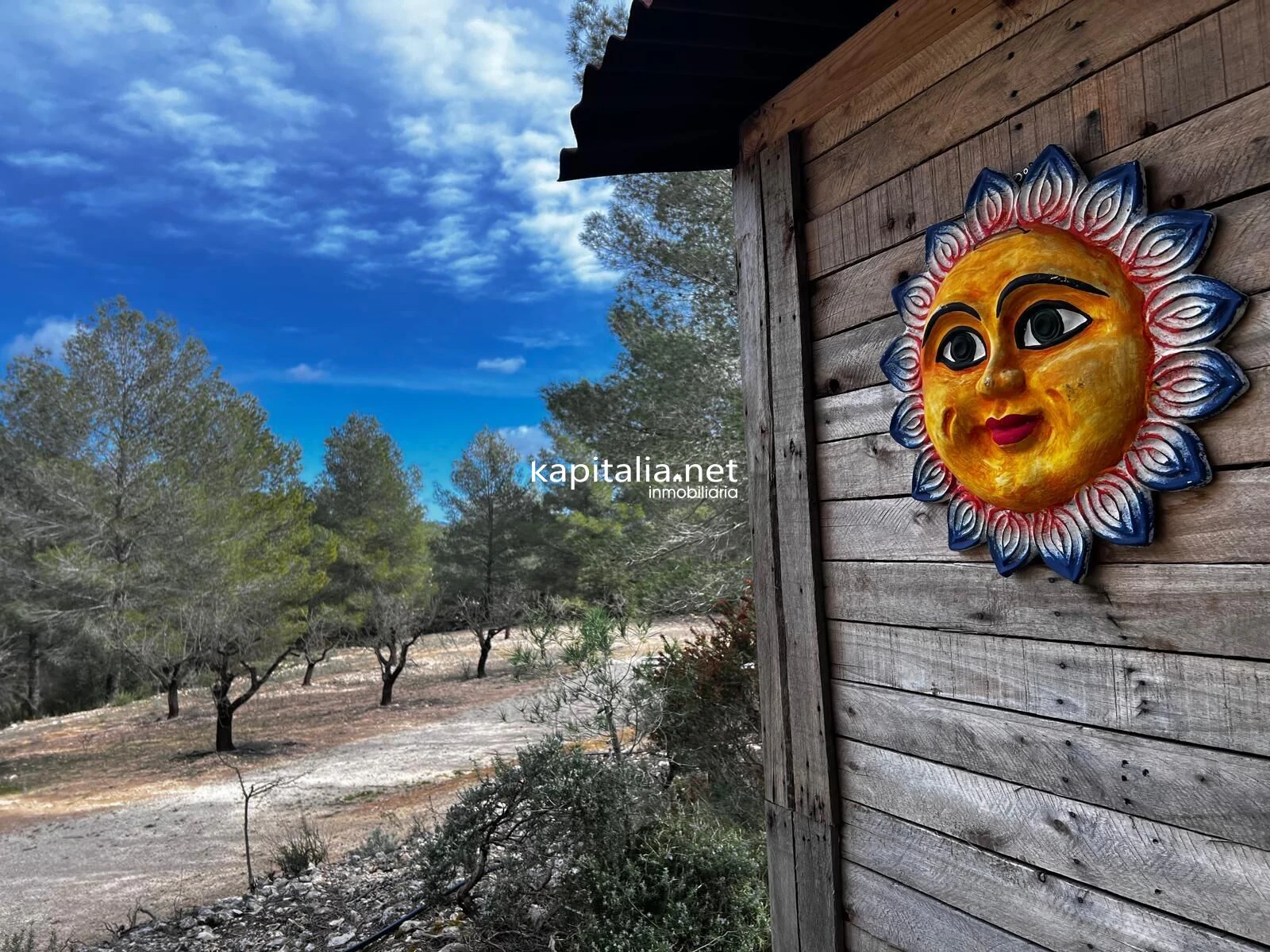 Terreno a la venta en Olleria