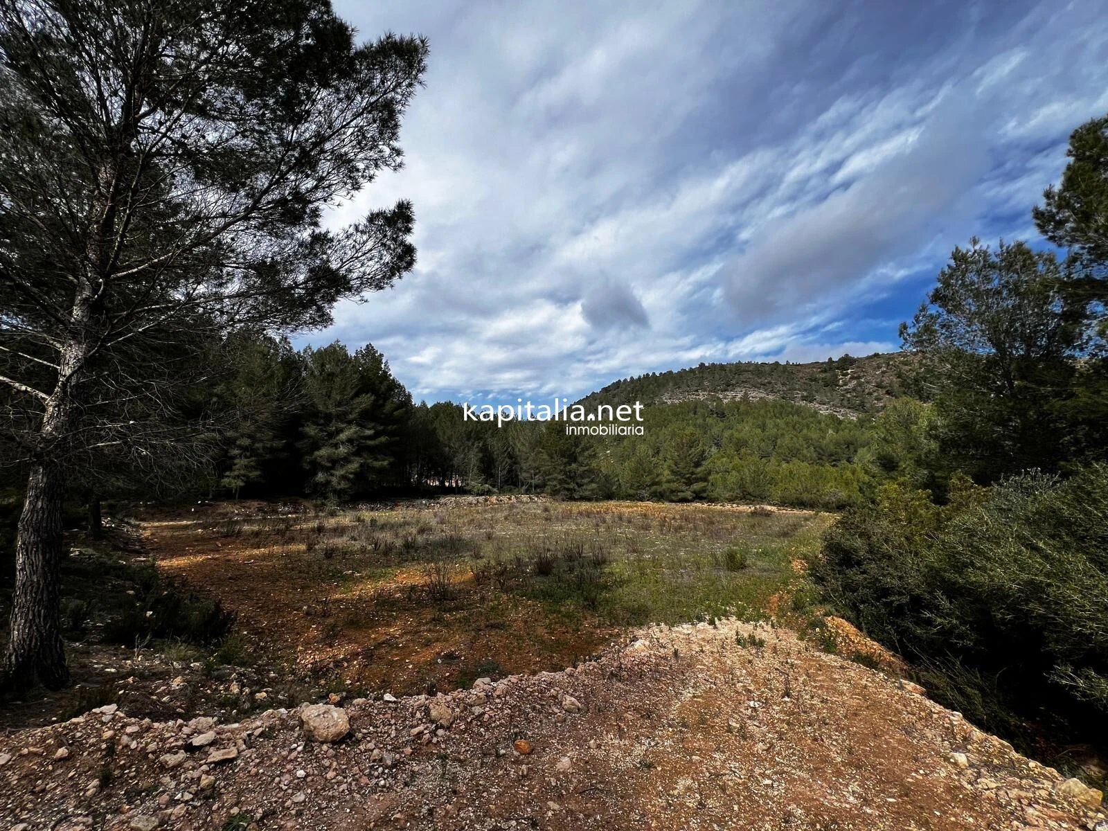 Terreno a la venta en Olleria