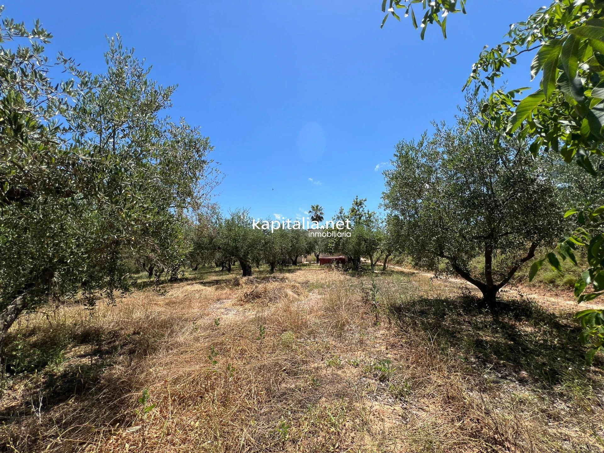 Chalet a la venta en Ontinyent