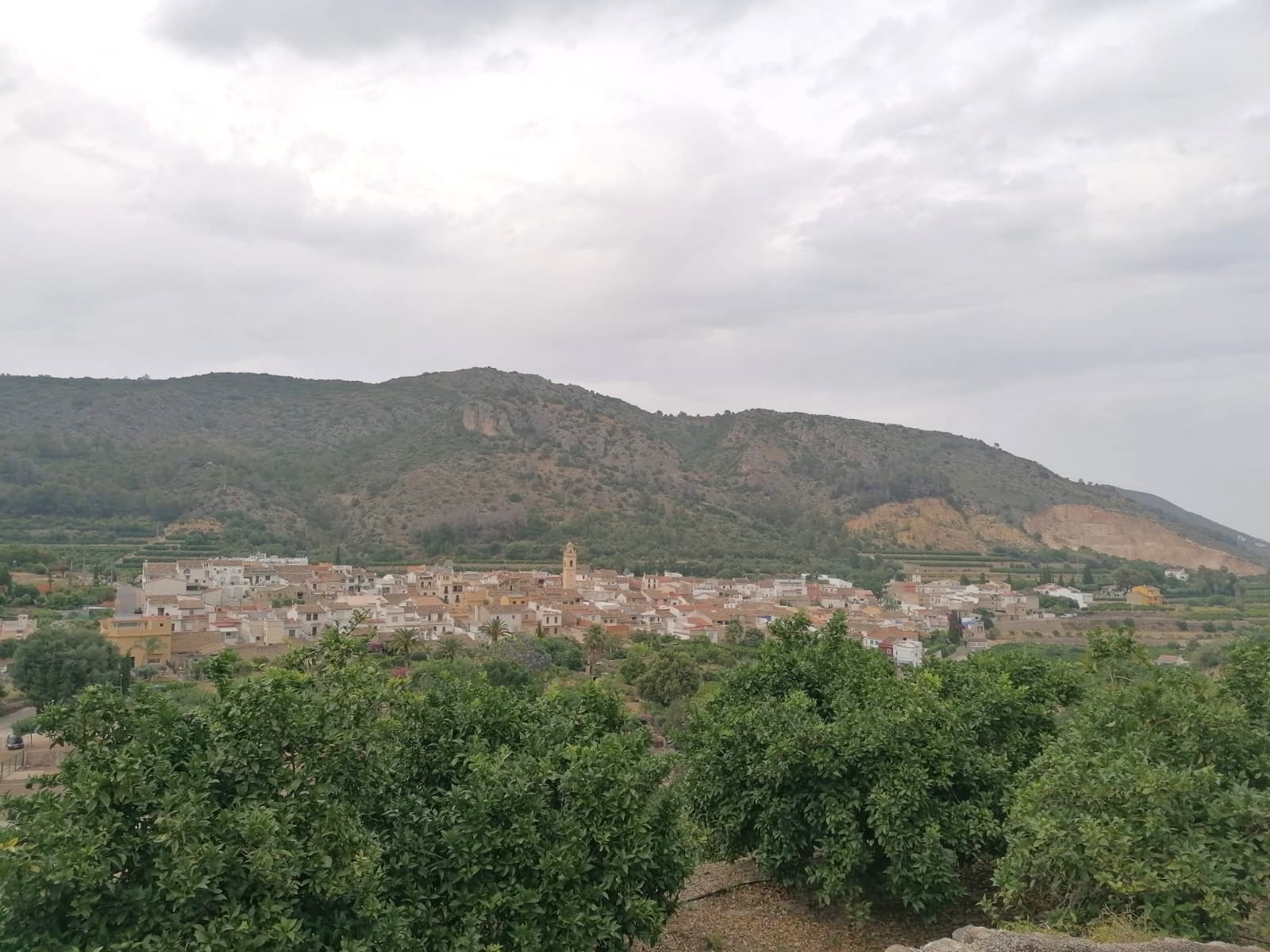 PARCELA RUSTICA CON VISTAS PANORÁMICAS EN FORNA