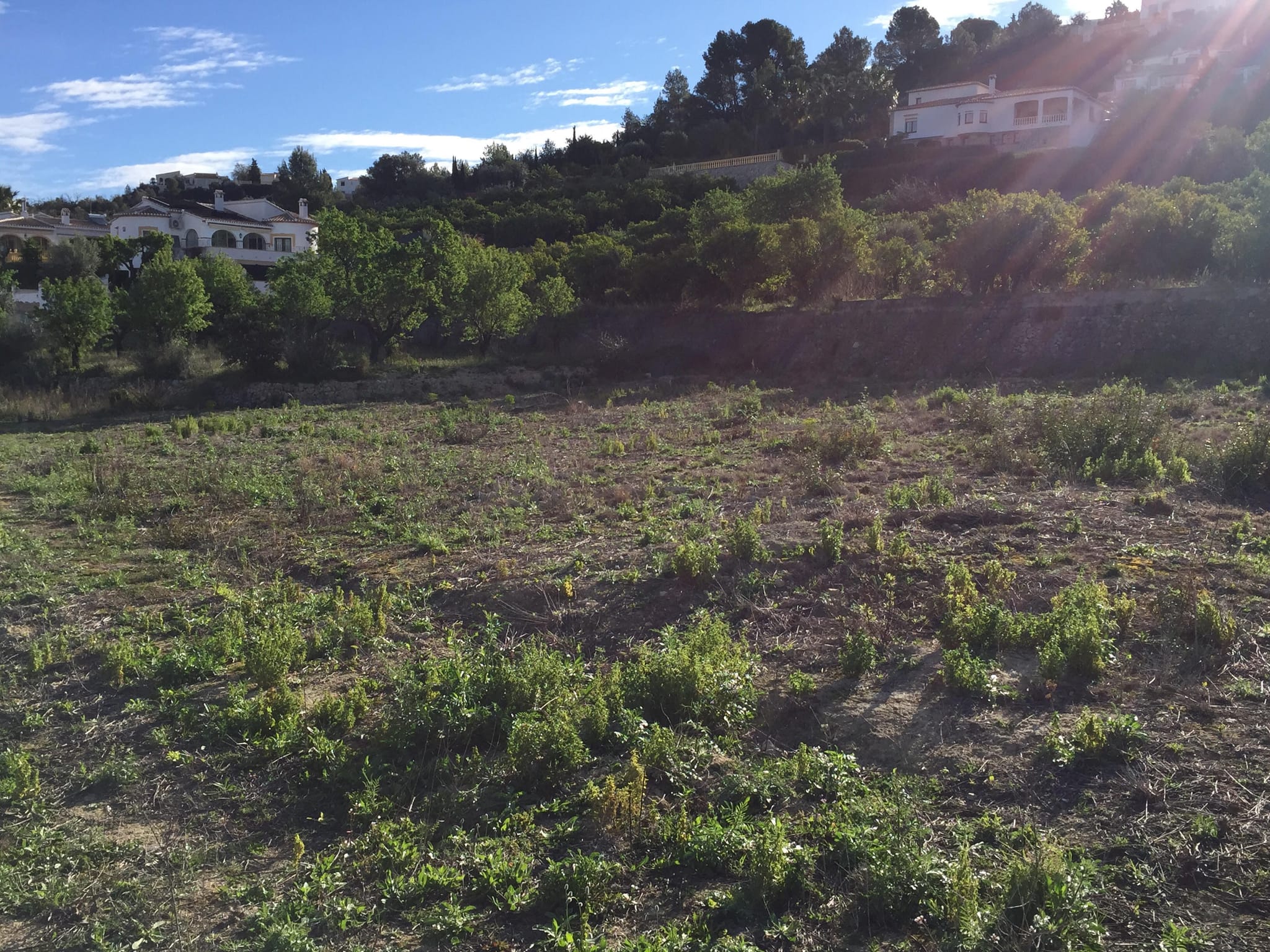 Parcela de 10000 m2 en Orba.