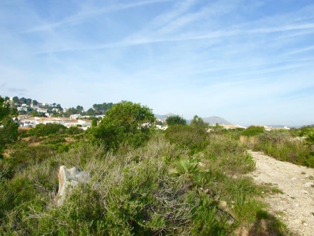 Parcela en venta Benidoleig de 18.000 m2