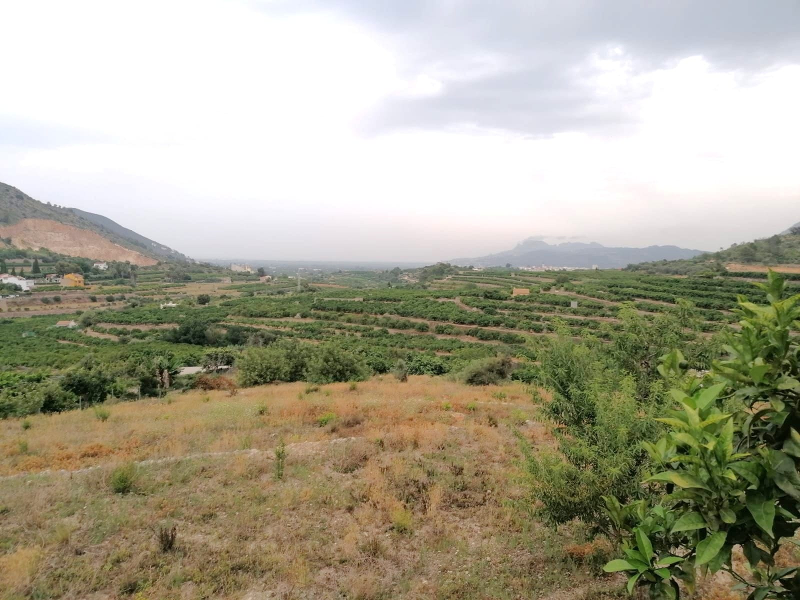 PARCELA RUSTICA CON VISTAS PANORÁMICAS EN FORNA