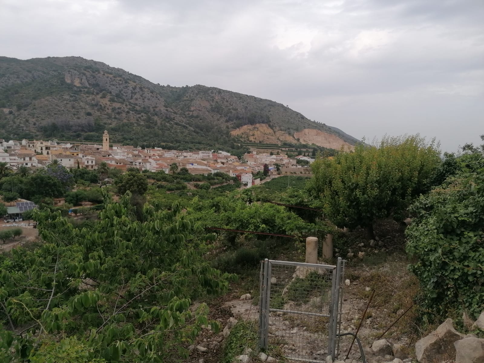 PARCELA RUSTICA CON VISTAS PANORÁMICAS EN FORNA