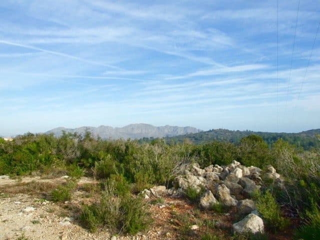 Parcela en venta Benidoleig de 18.000 m2