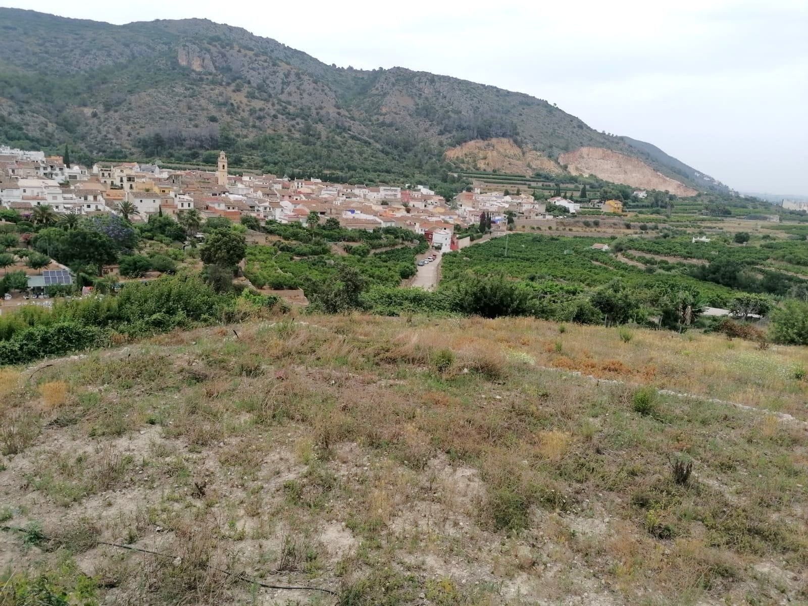 PARCELA RUSTICA CON VISTAS PANORÁMICAS EN FORNA