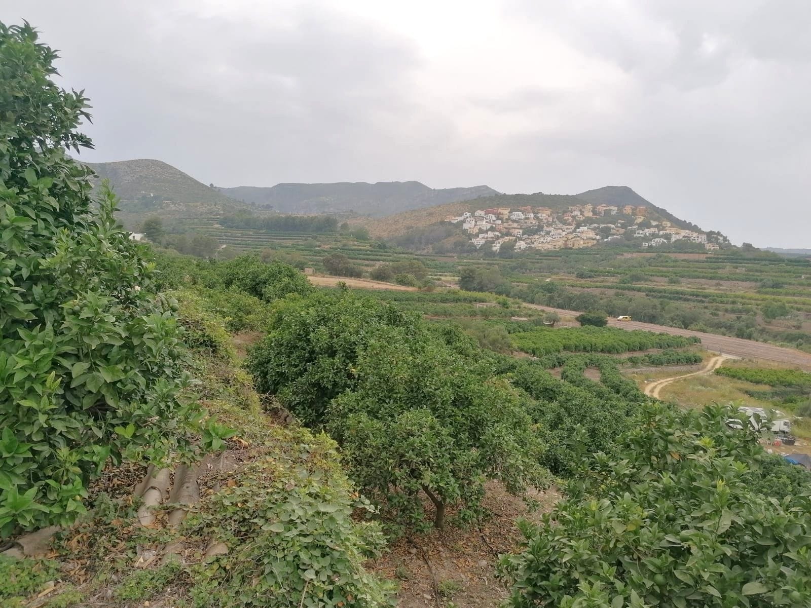PARCELA RUSTICA CON VISTAS PANORÁMICAS EN FORNA