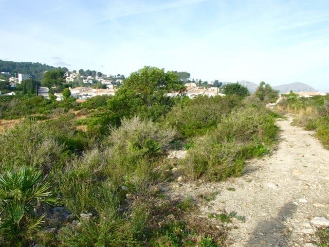 Parcela en venta Benidoleig de 18.000 m2