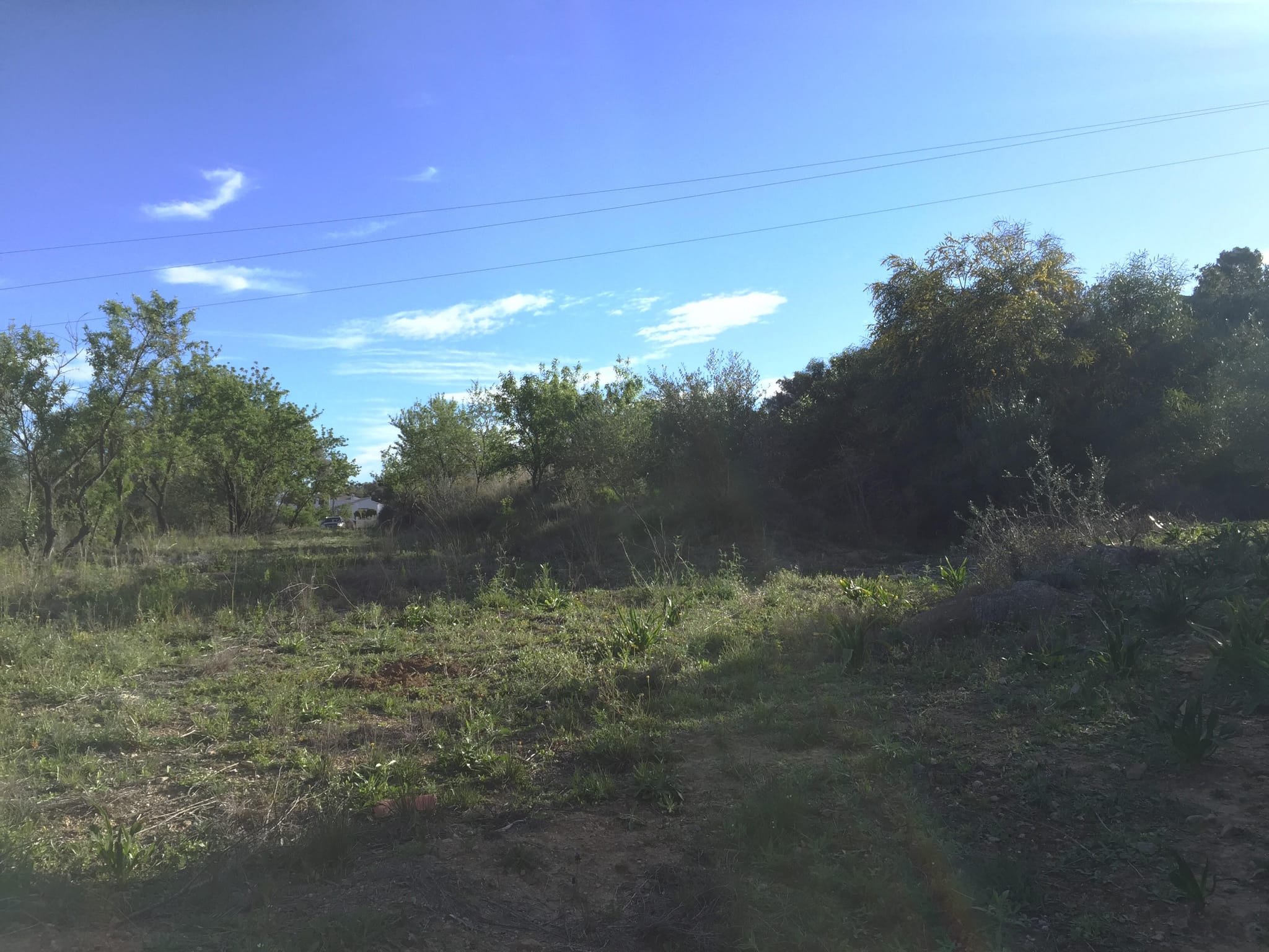 Parcela de 10000 m2 en Orba.