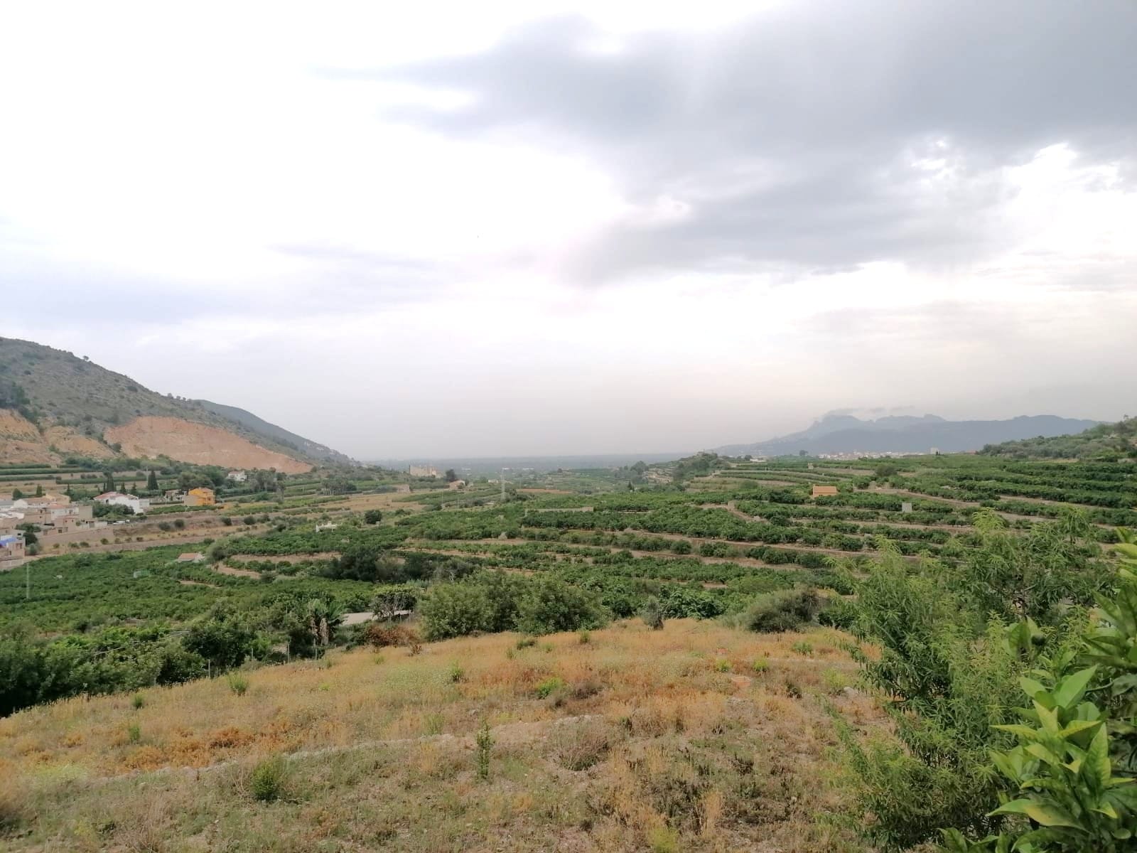 PARCELA RUSTICA CON VISTAS PANORÁMICAS EN FORNA