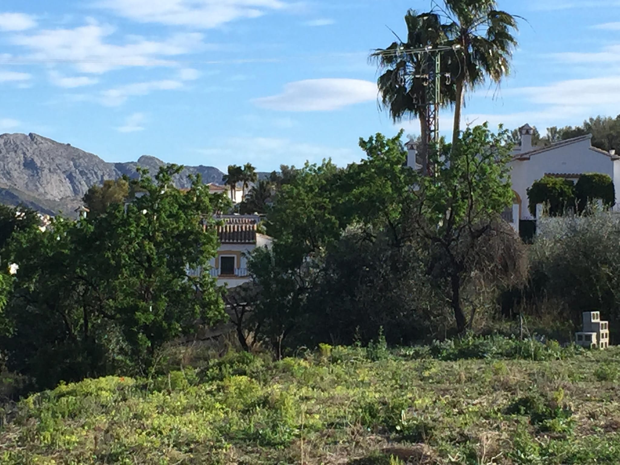 Parcela de 10000 m2 en Orba.