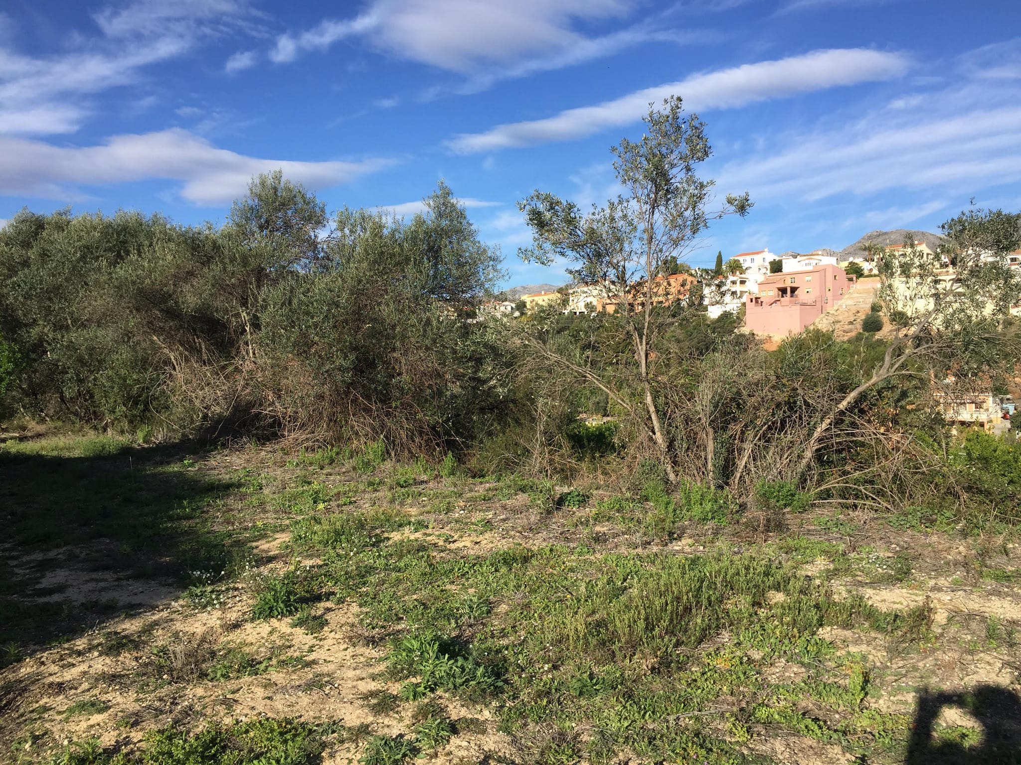 Parcela de 10000 m2 en Orba.