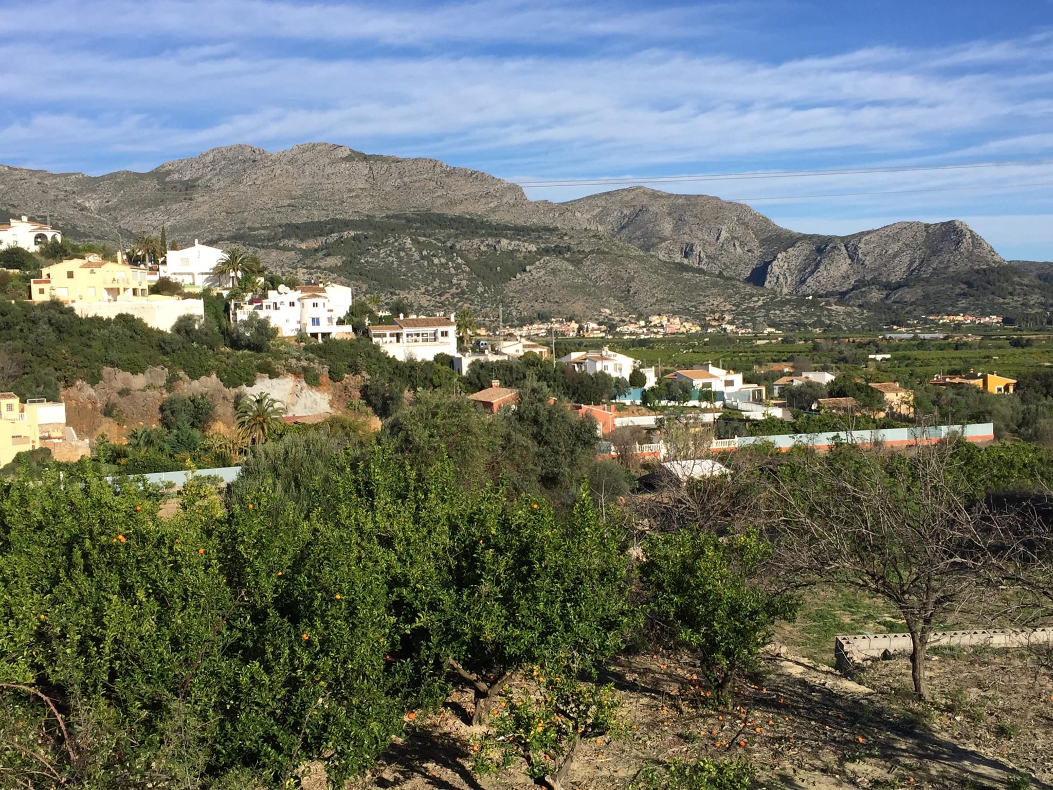 Parcela de 10000 m2 en Orba.