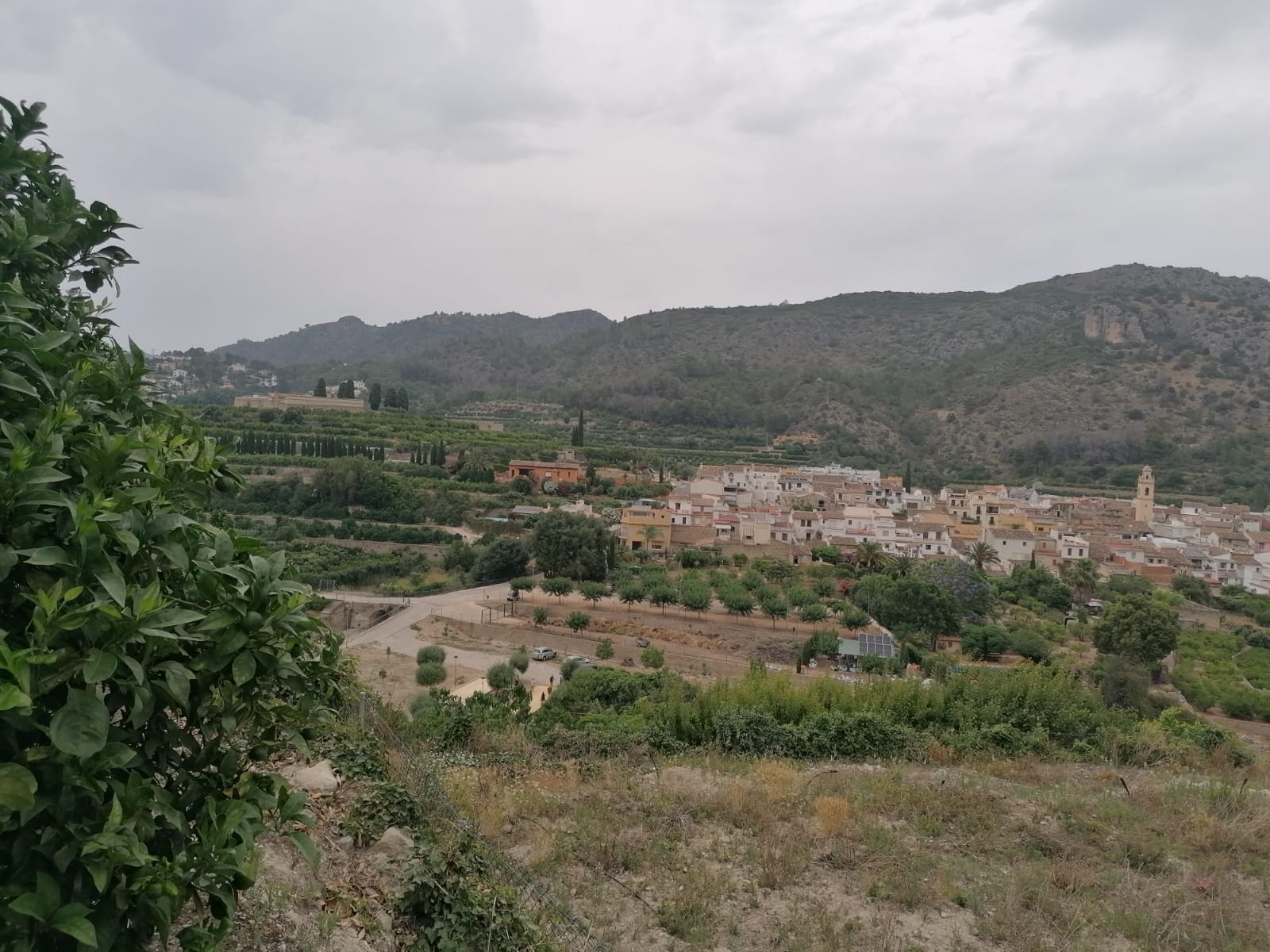 PARCELA RUSTICA CON VISTAS PANORÁMICAS EN FORNA