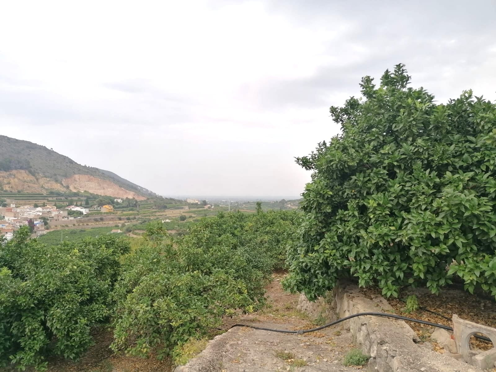 PARCELA RUSTICA CON VISTAS PANORÁMICAS EN FORNA