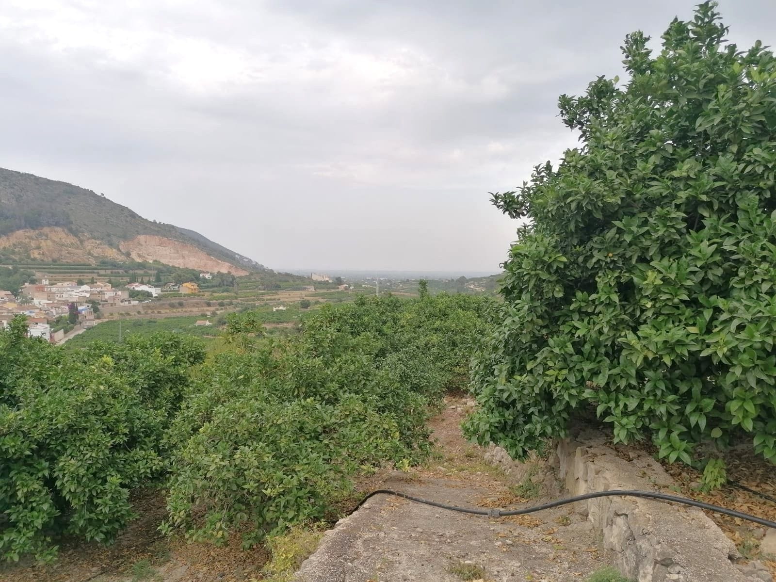 PARCELA RUSTICA CON VISTAS PANORÁMICAS EN FORNA
