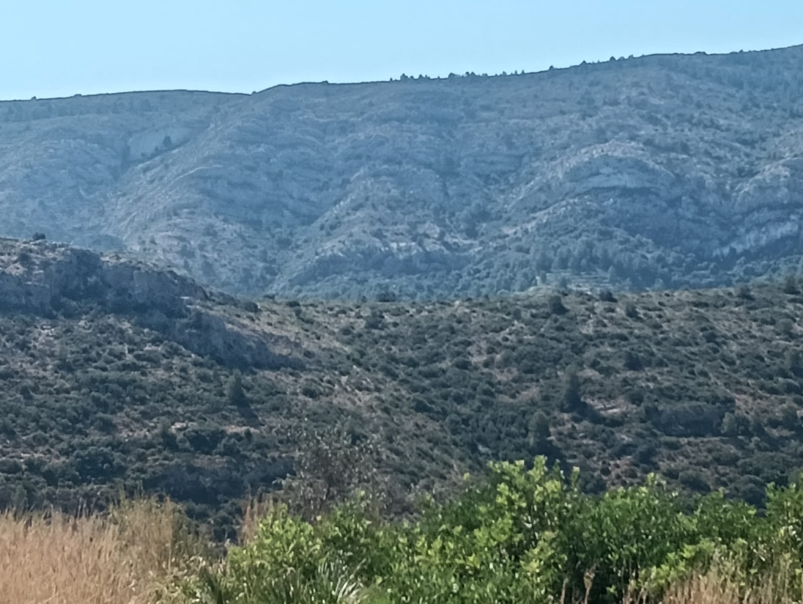 Lote de parcelas en Benidoleig.
