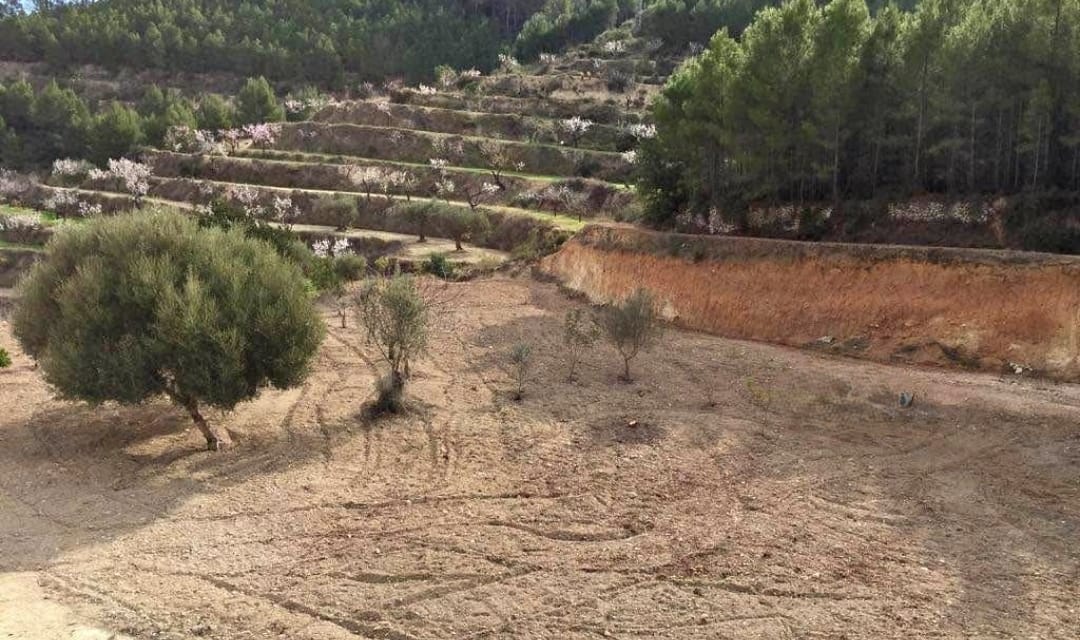PARCELA RUSTICA CERCA DE CALPE