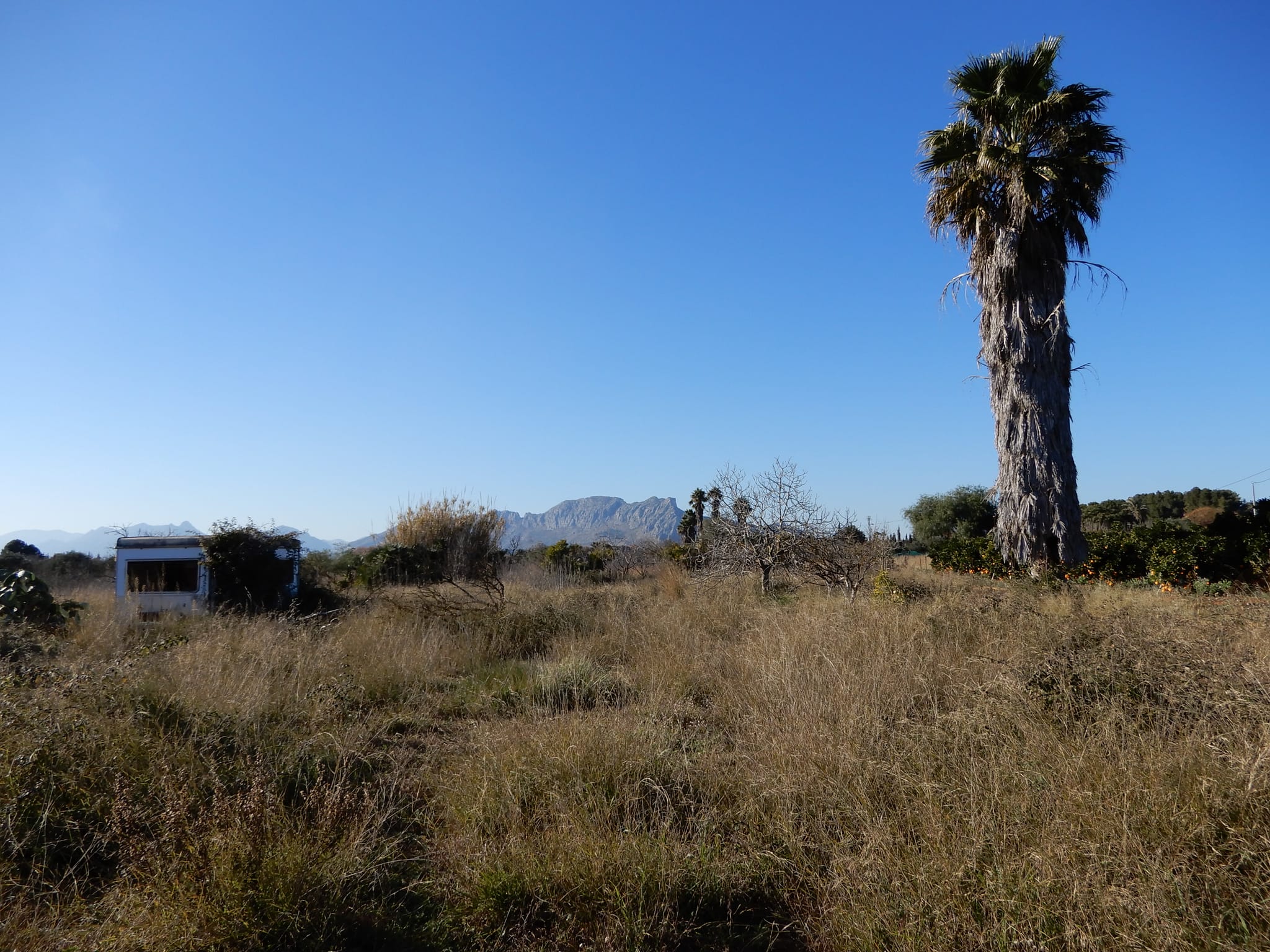 Parcela en Venta en Zona Golf Pedreguer