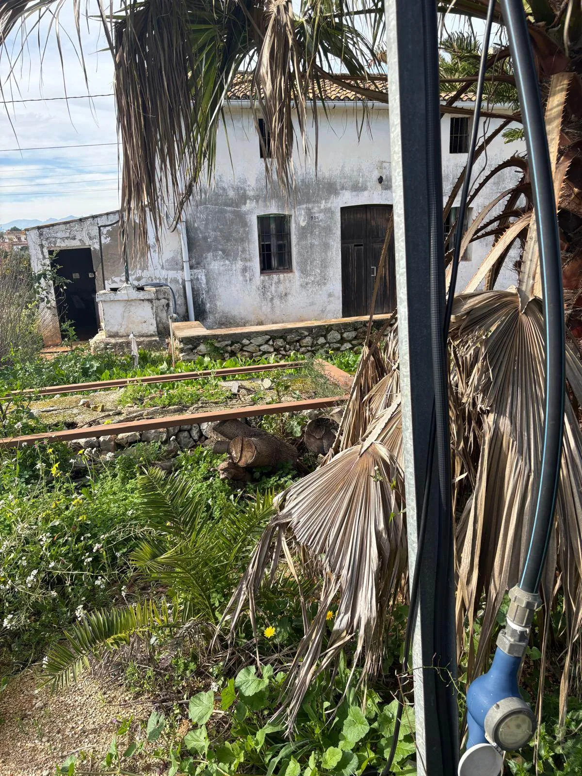 FINCA EN LA XARA