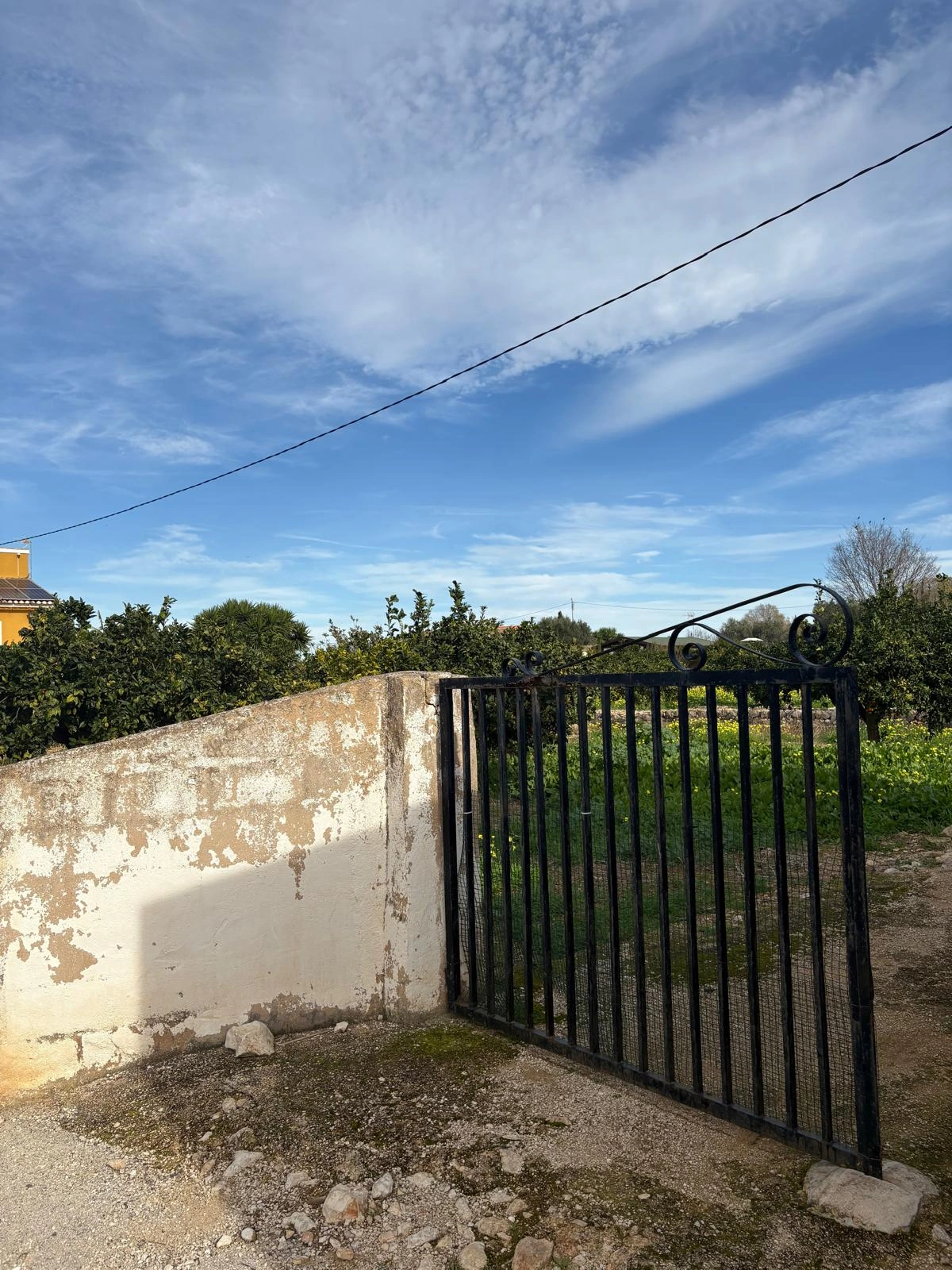 FINCA EN LA XARA