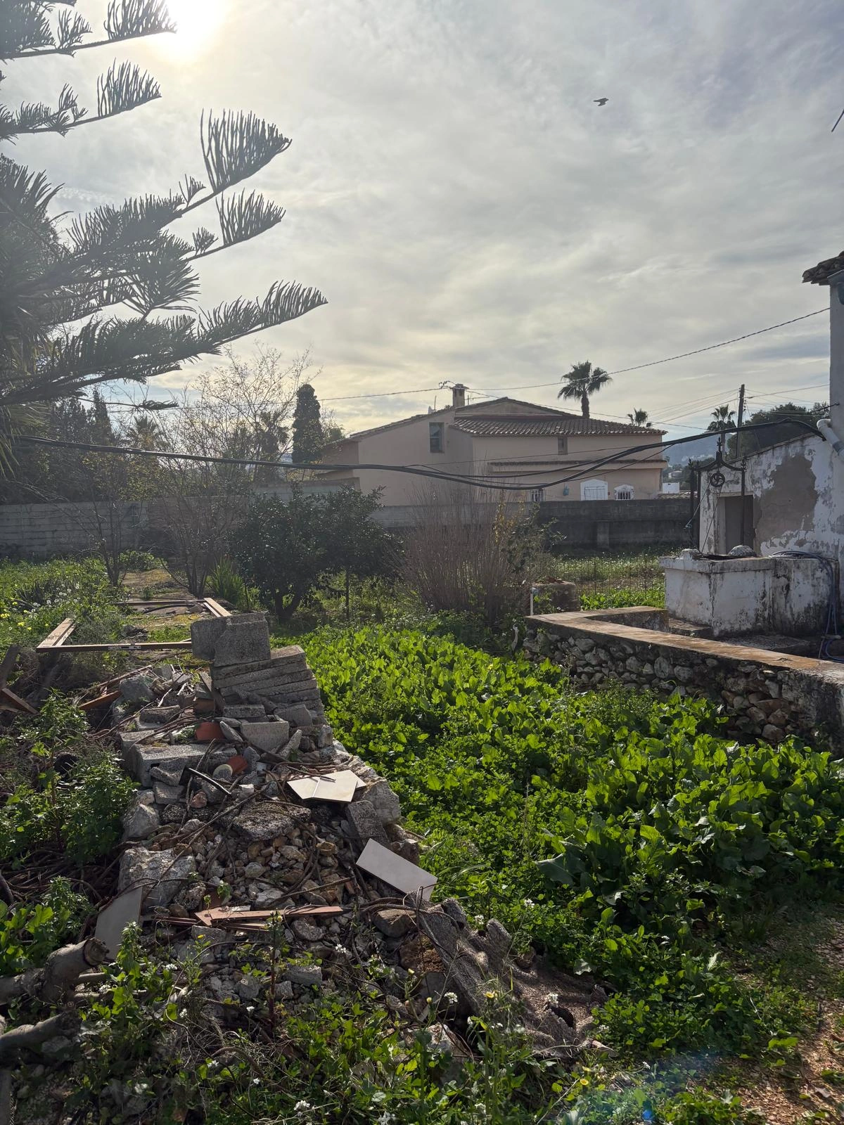 FINCA EN LA XARA