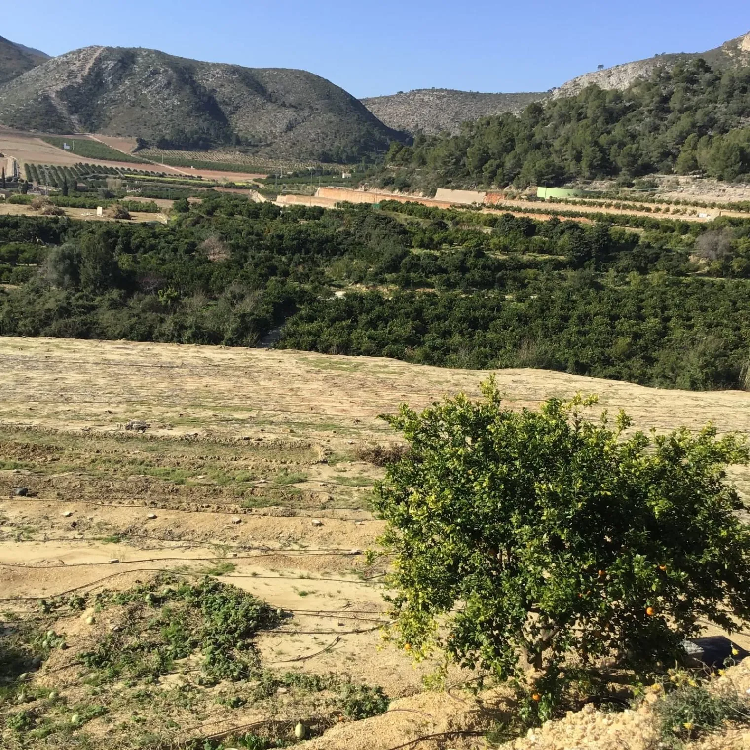 TERRENO EN ADOR CON PARTE URBANIZABLE