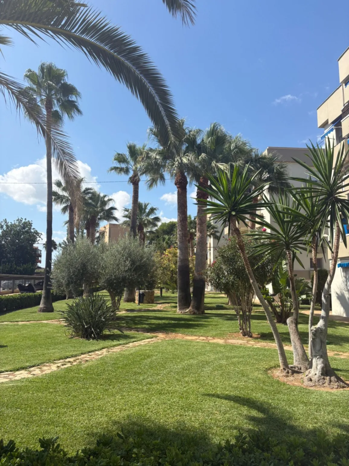 EXCLUSIVO APARTAMENTO EN DENIA