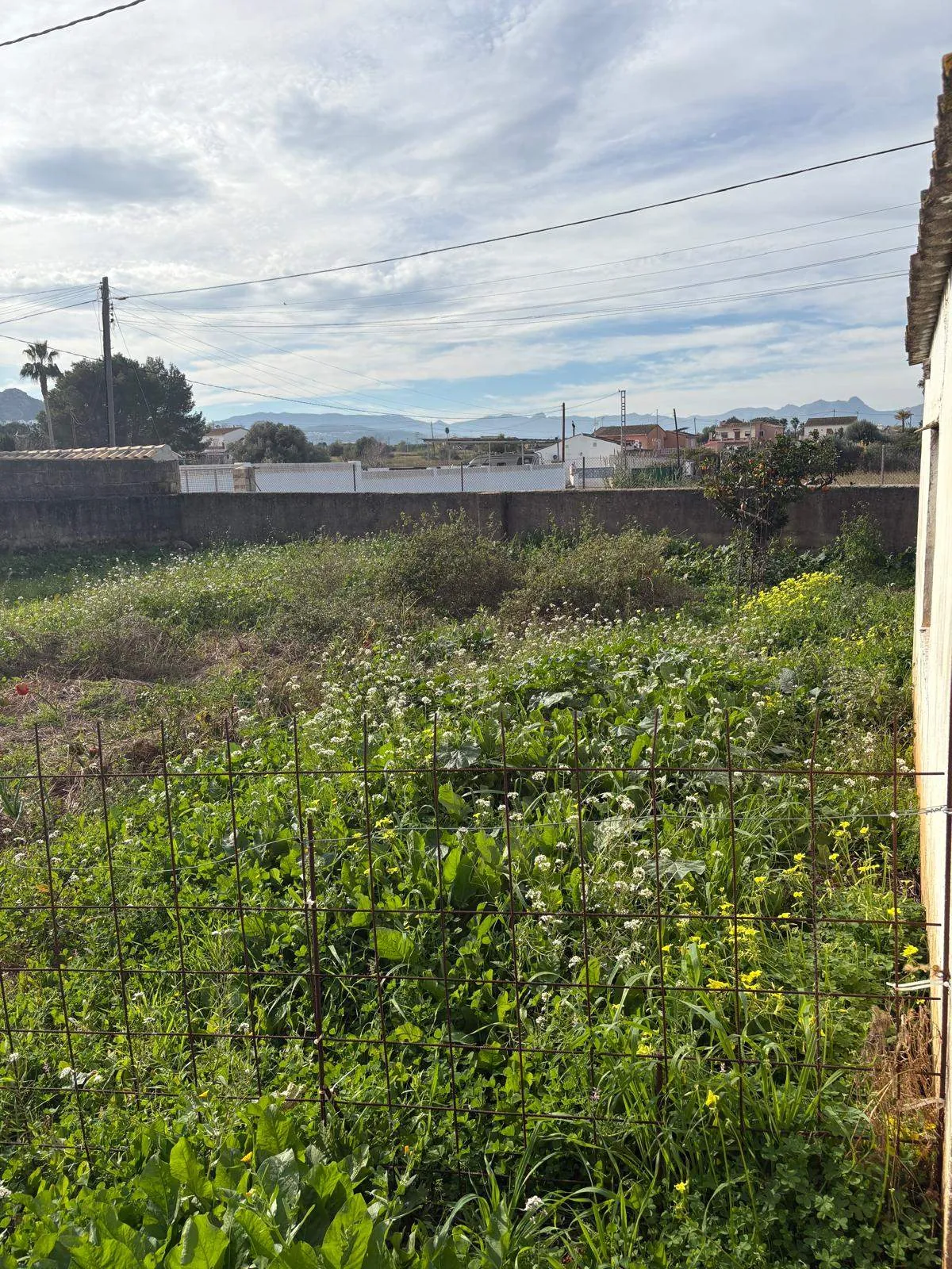 FINCA EN LA XARA