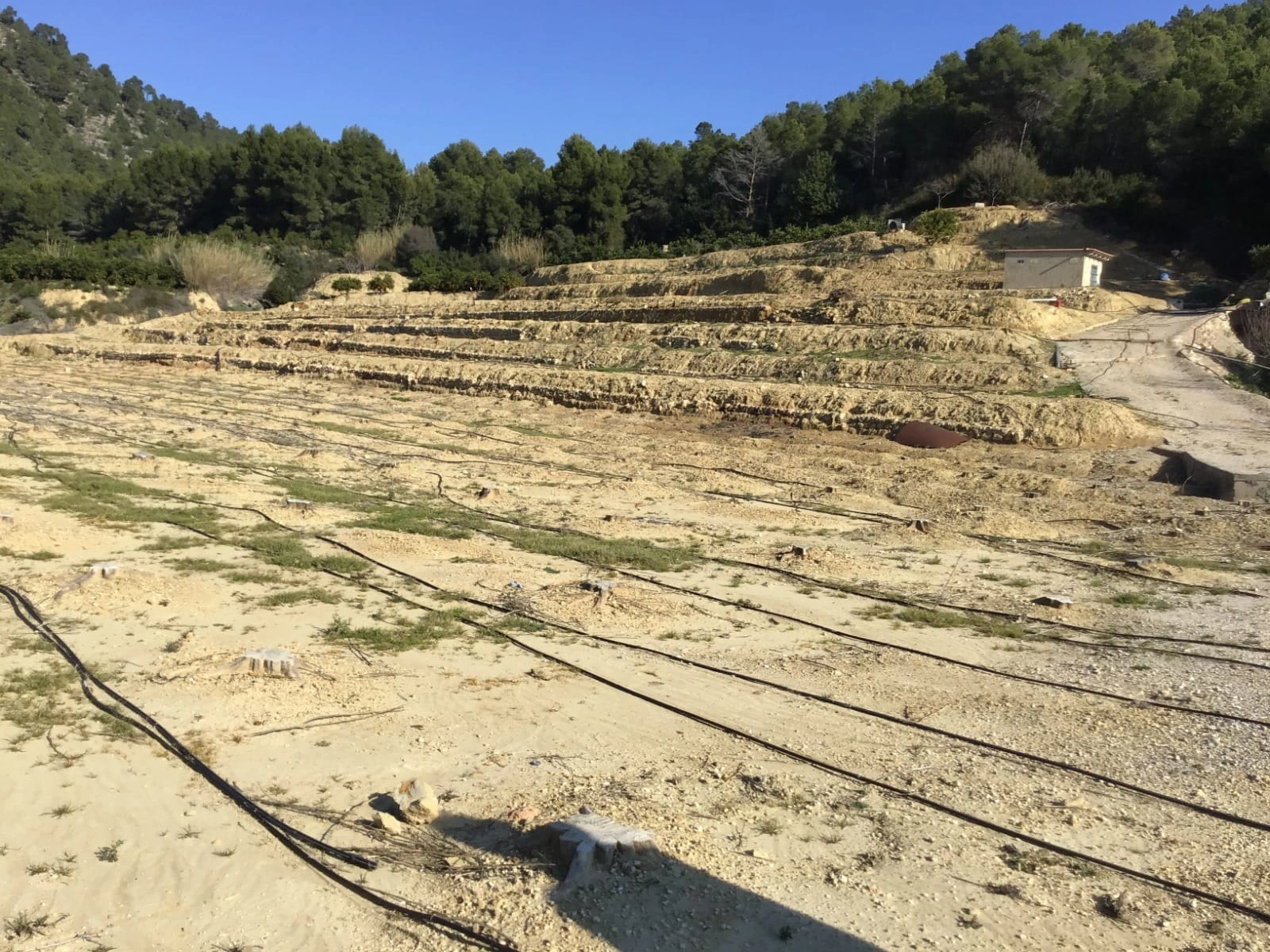 TERRENO EN ADOR CON PARTE URBANIZABLE