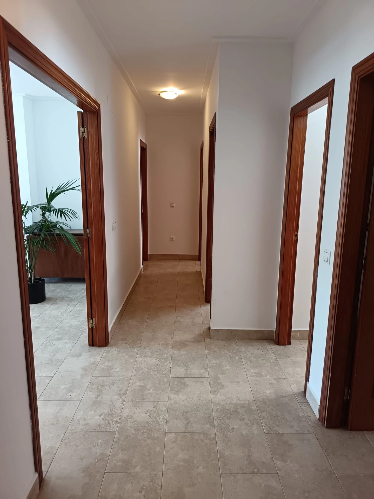 CASA CENTRO VERGEL